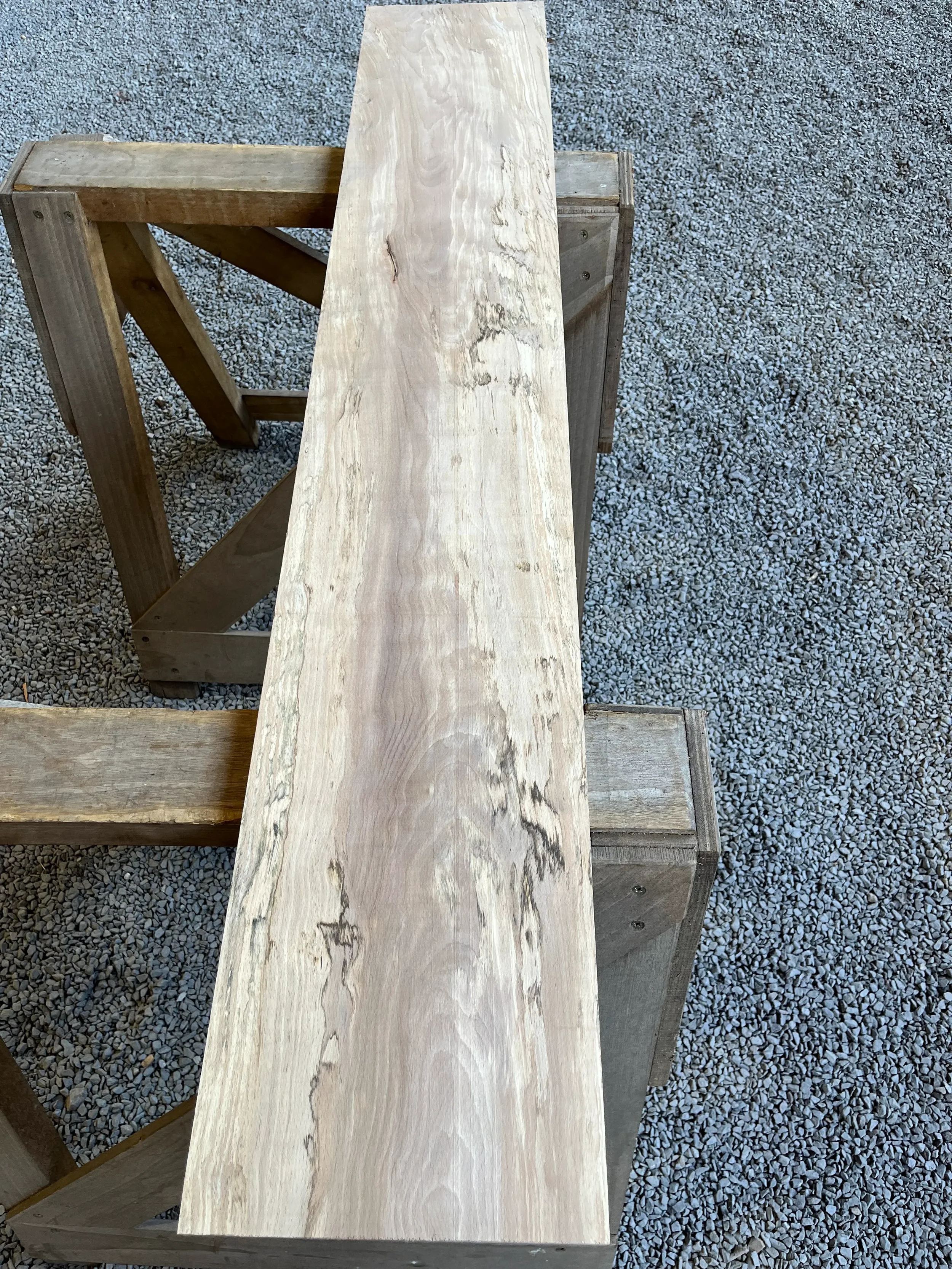 spalted beech se260.1.webp