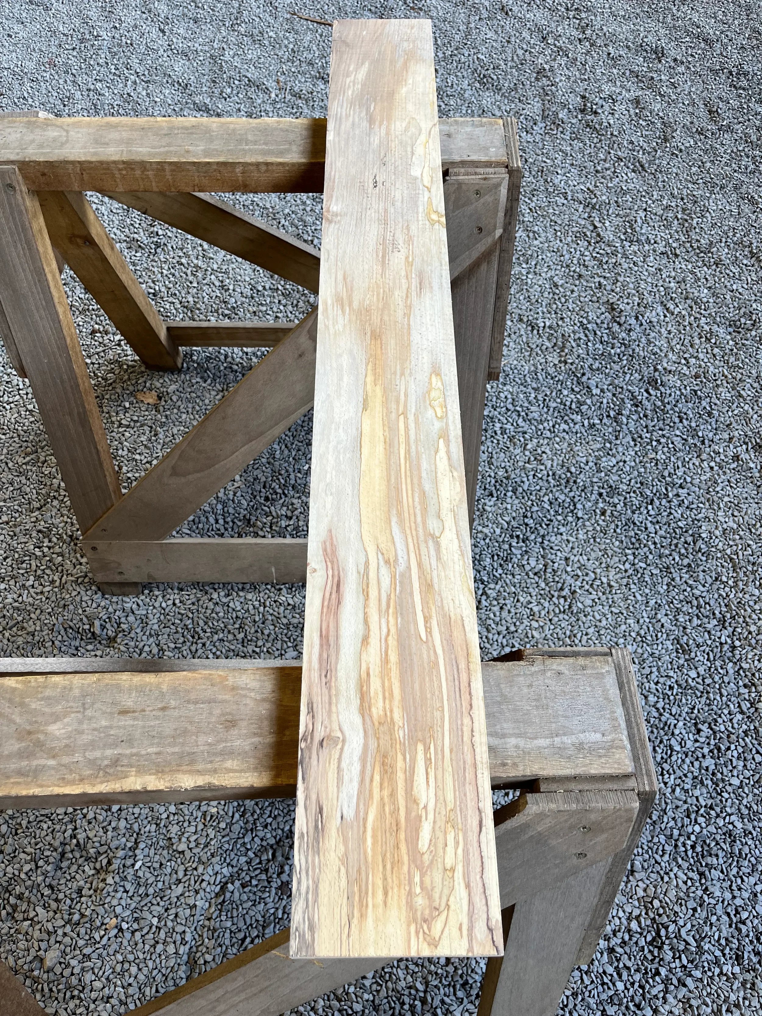 spalted beech se279.1.webp