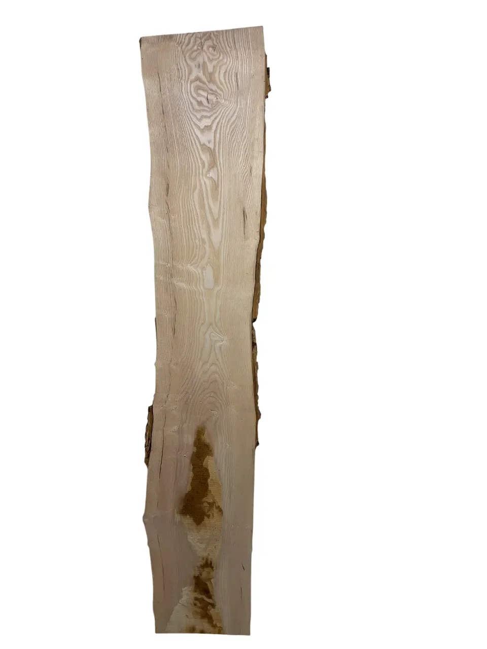 ash tt000320.1-Photoroom.webp