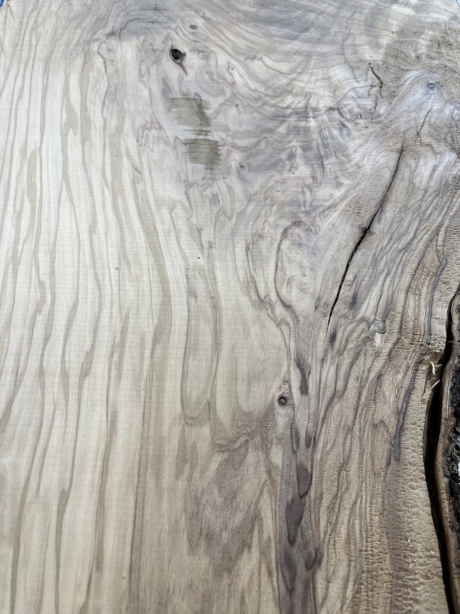 live edge olive tt000191.1.jpeg