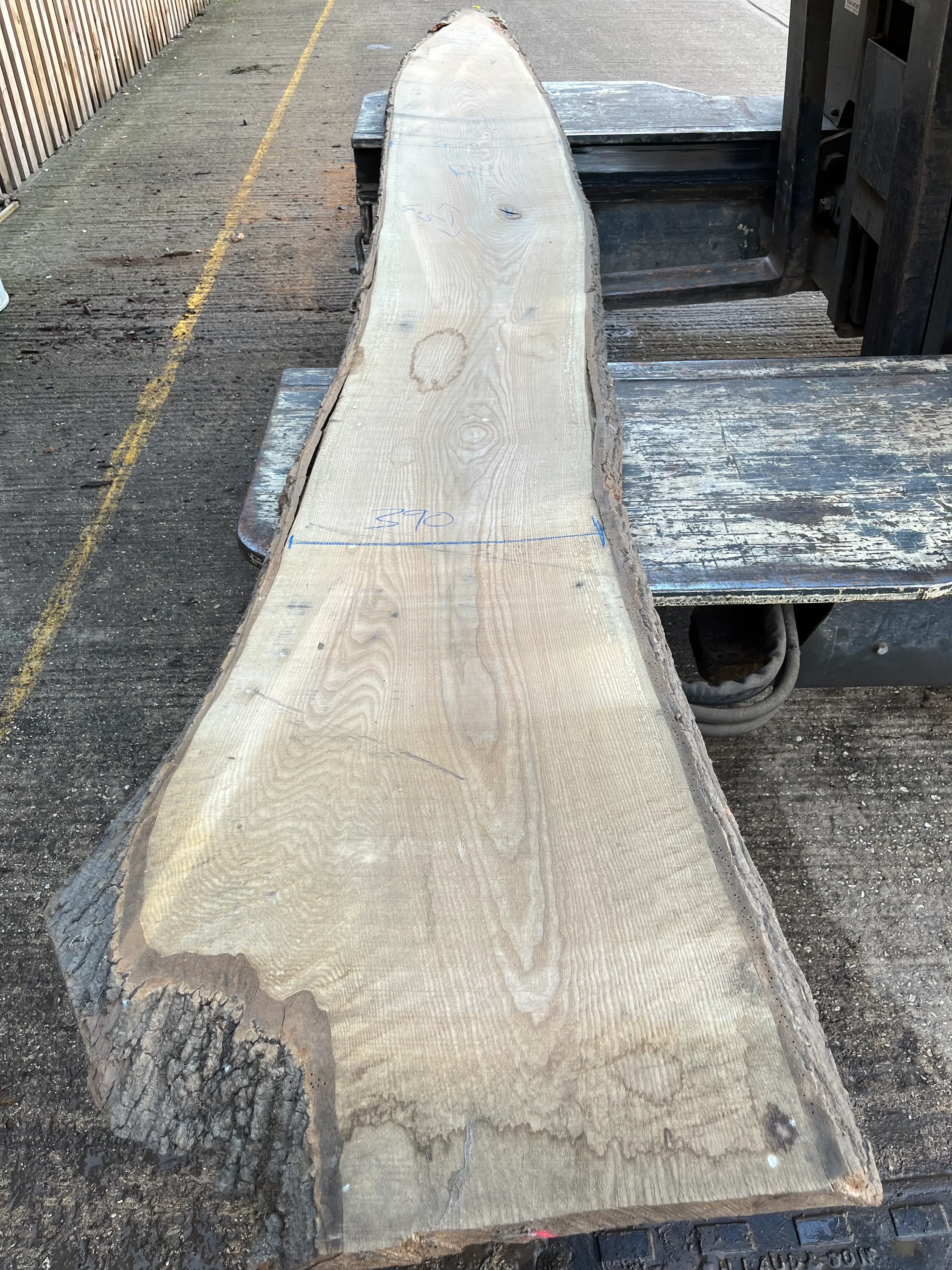 European Ash Live Edge Board 41mm sawn