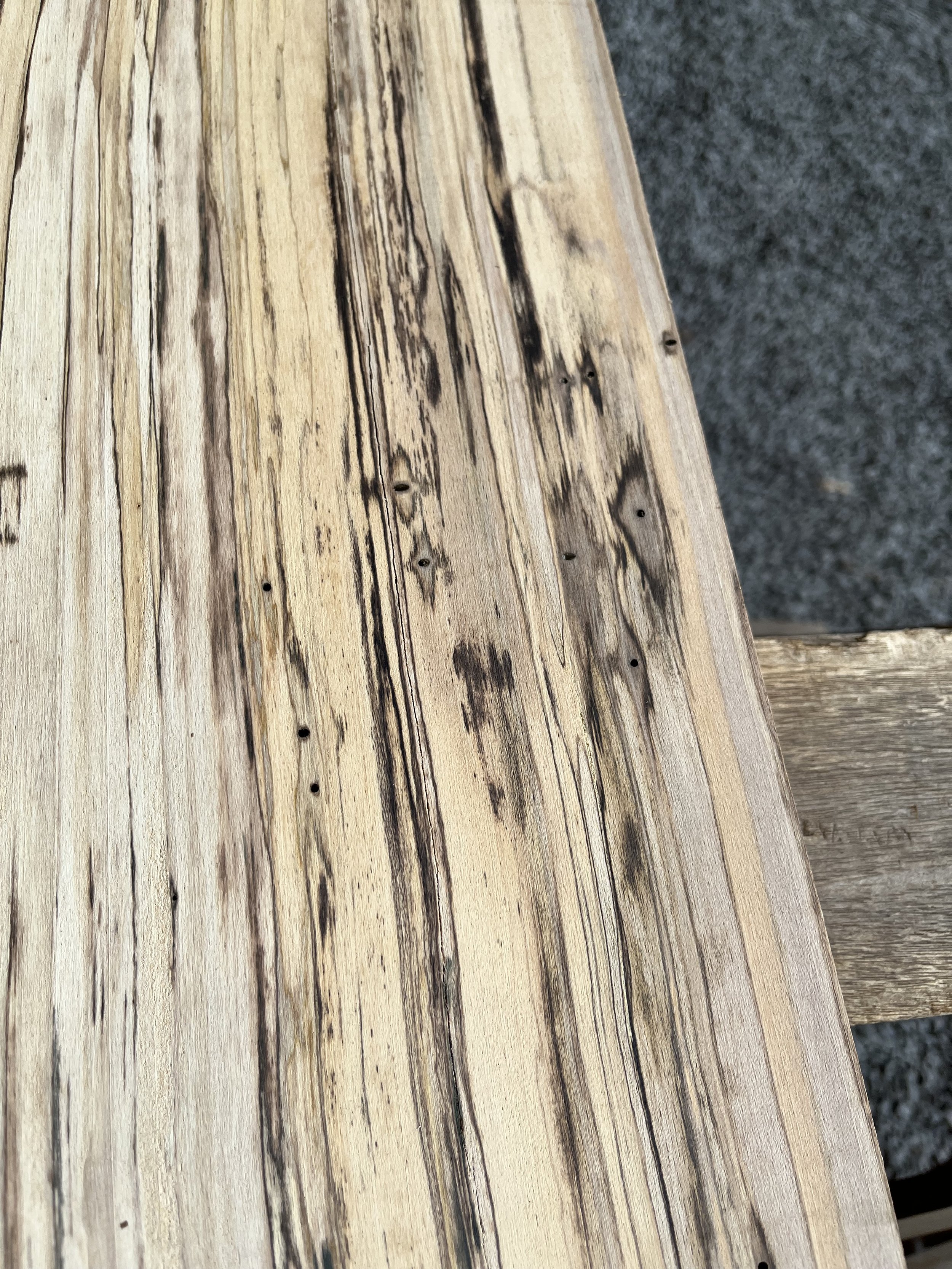 spalted beech se000290.1.jpeg