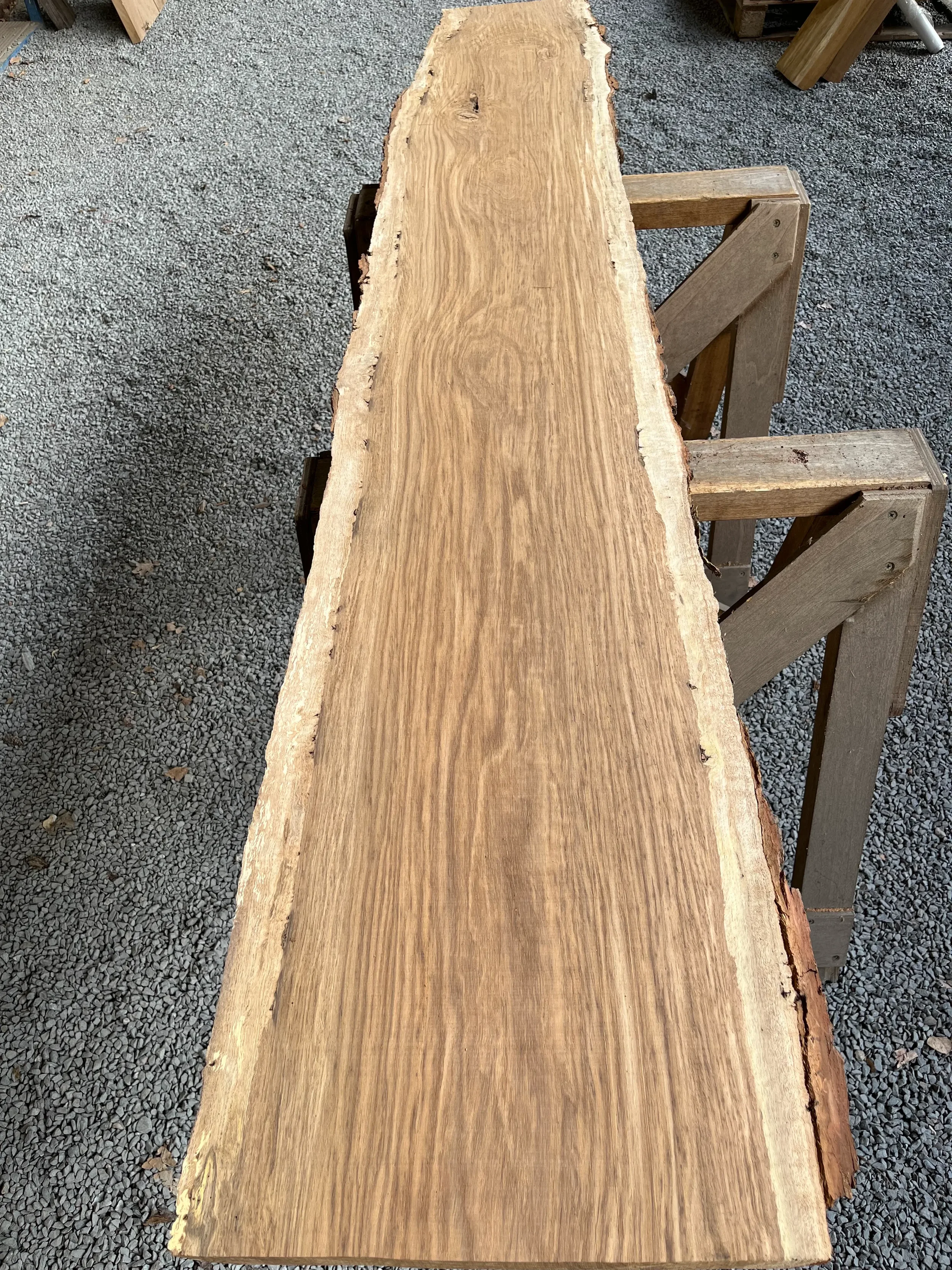 brown oak tt000479.1.webp