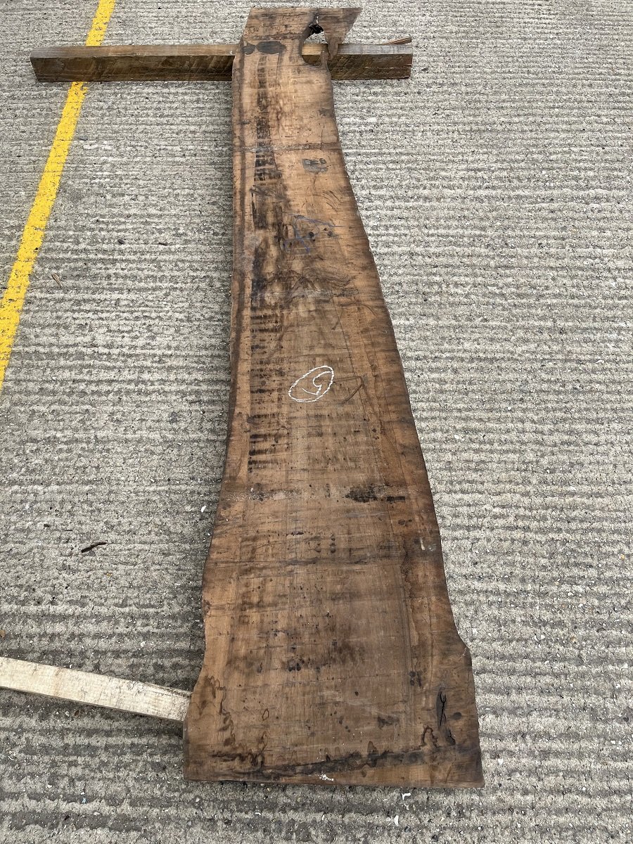 Live edge walnut 823369.1.jpeg