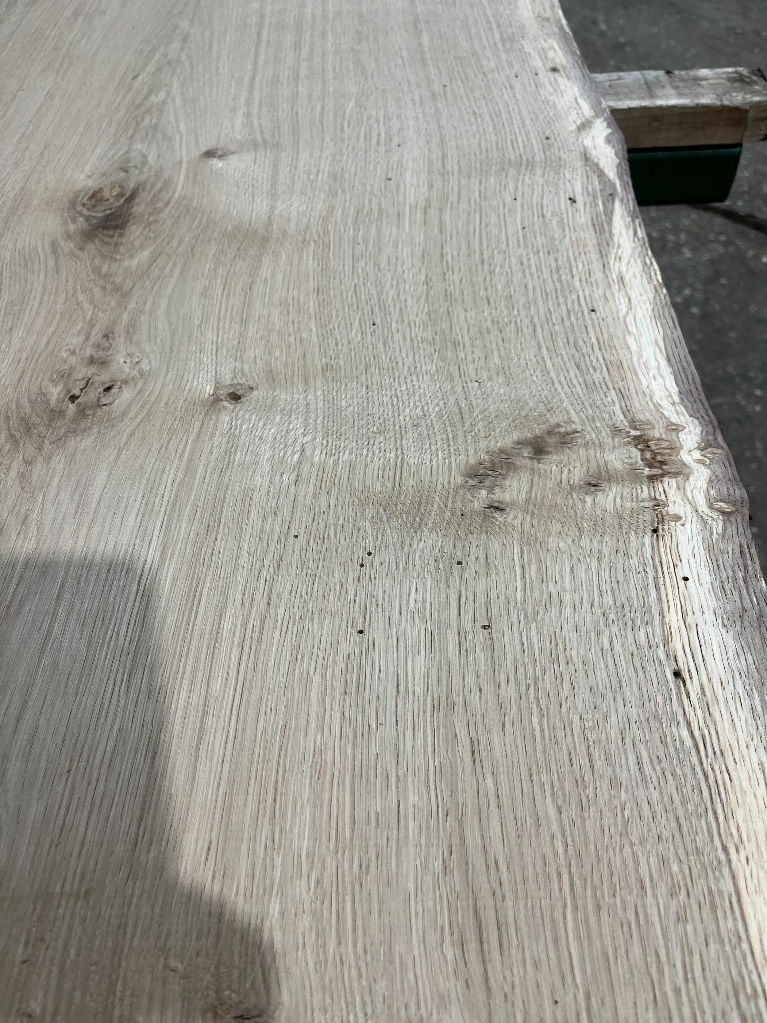 pippy tt000356.1.webp