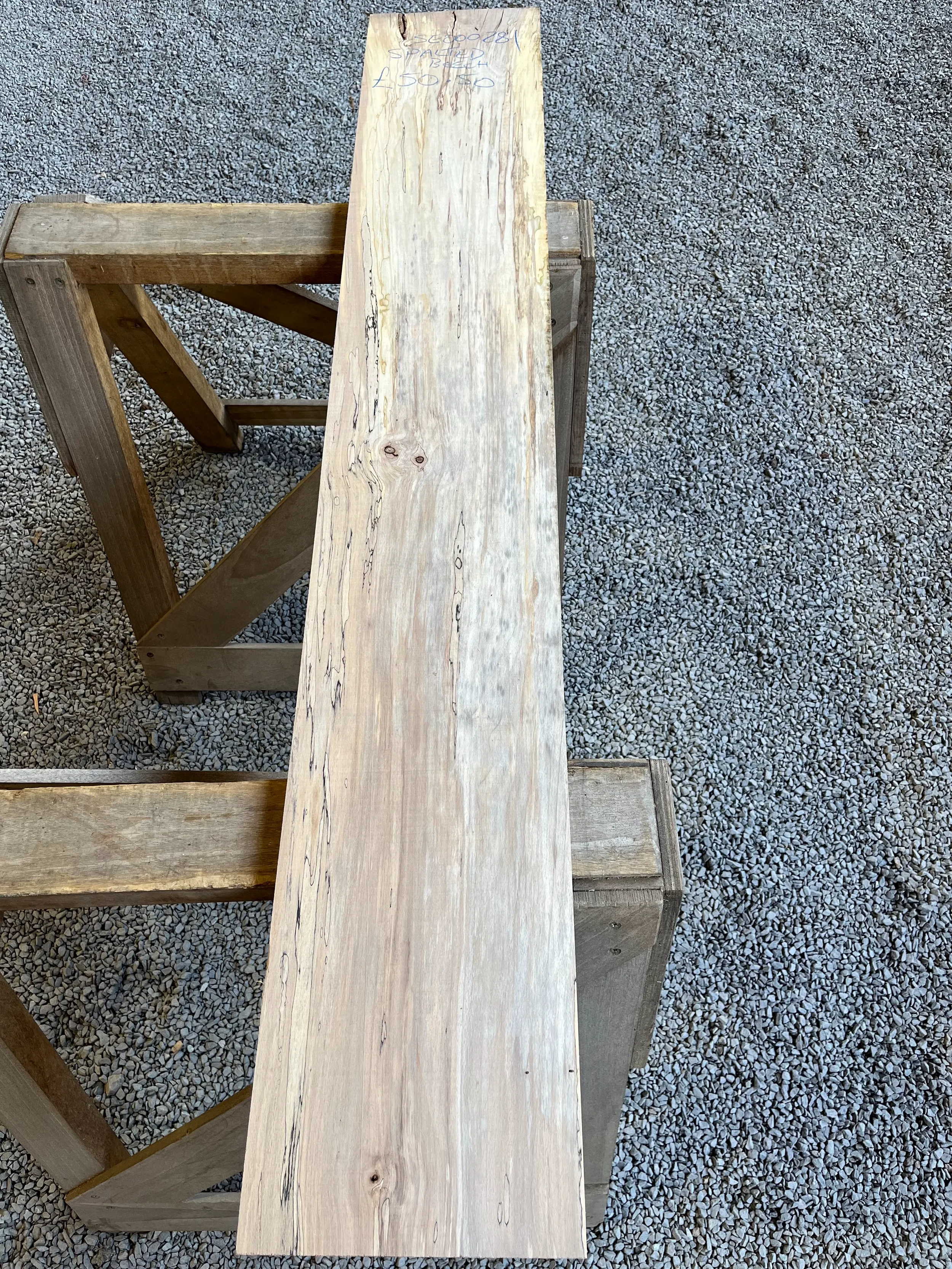 spalted beech se281.1.webp