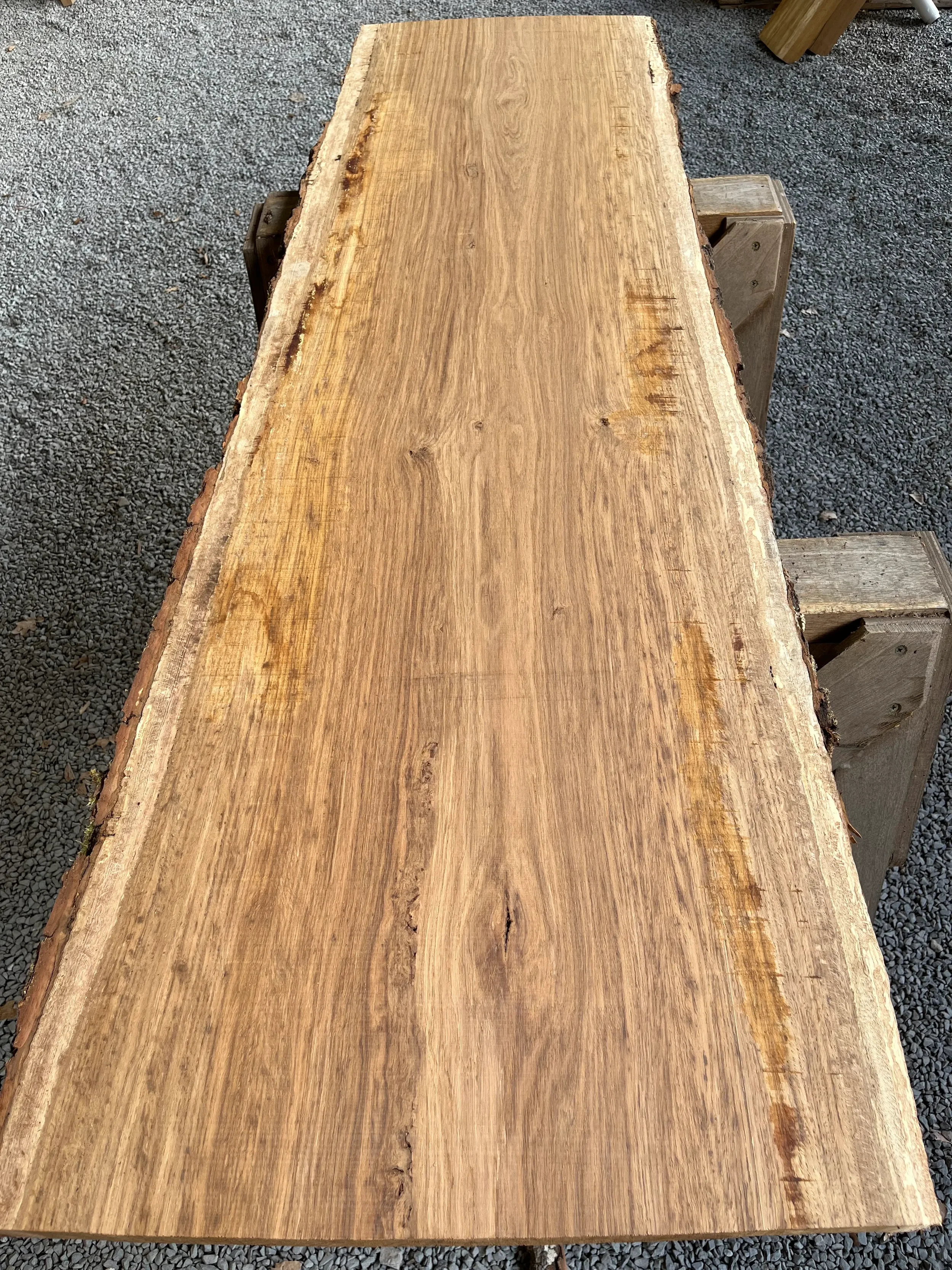 brown oak tt000476.2.webp