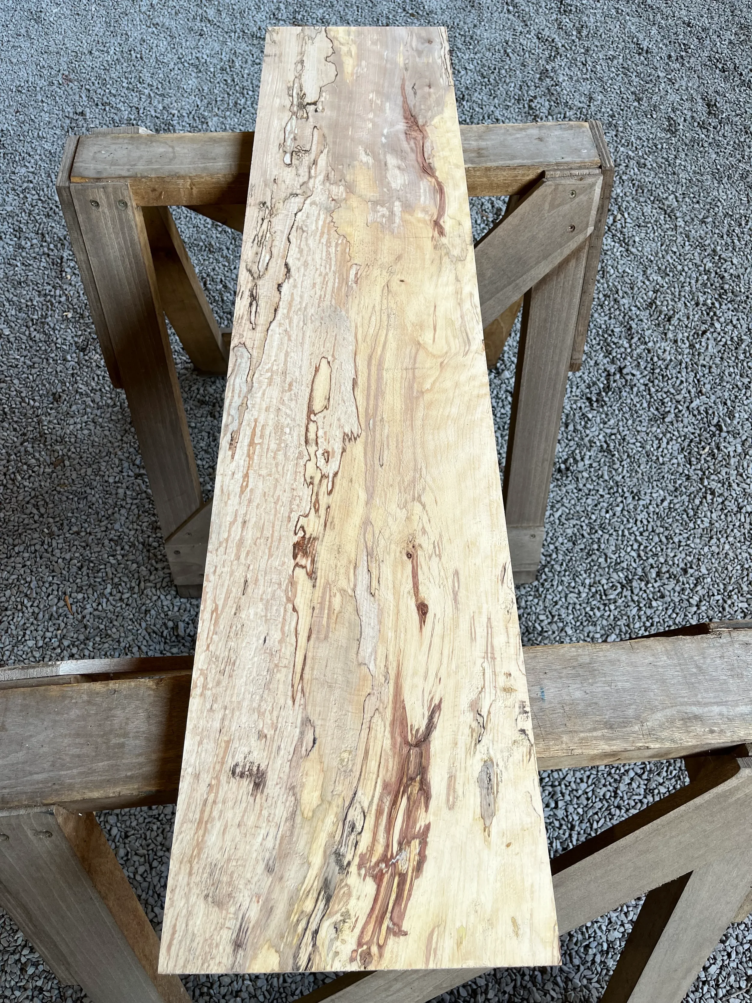 spalted beech se238.1.webp