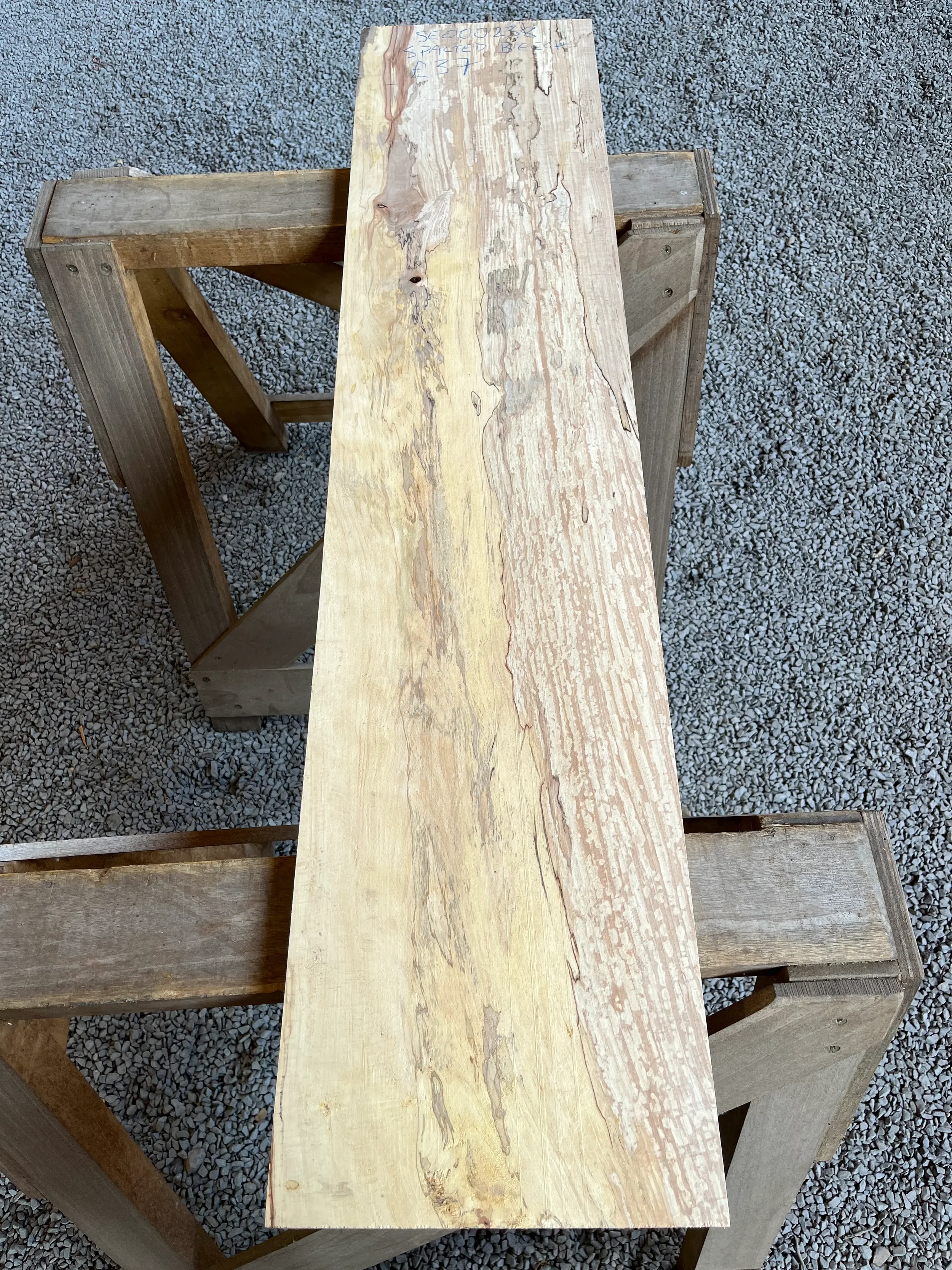 spalted beech se238.webp