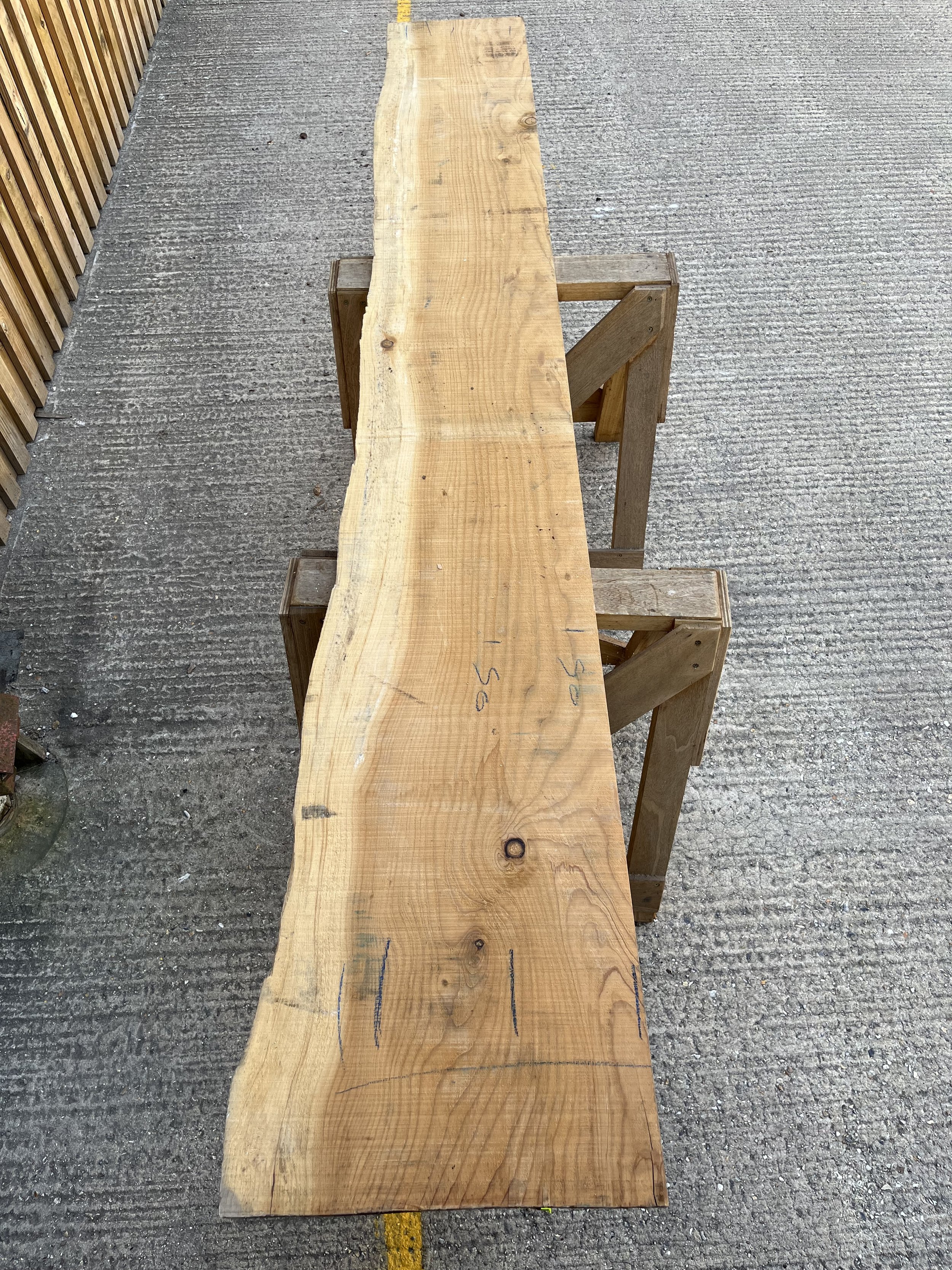 Cedar of Lebanon one live one square edge board tt000138.1.jpeg