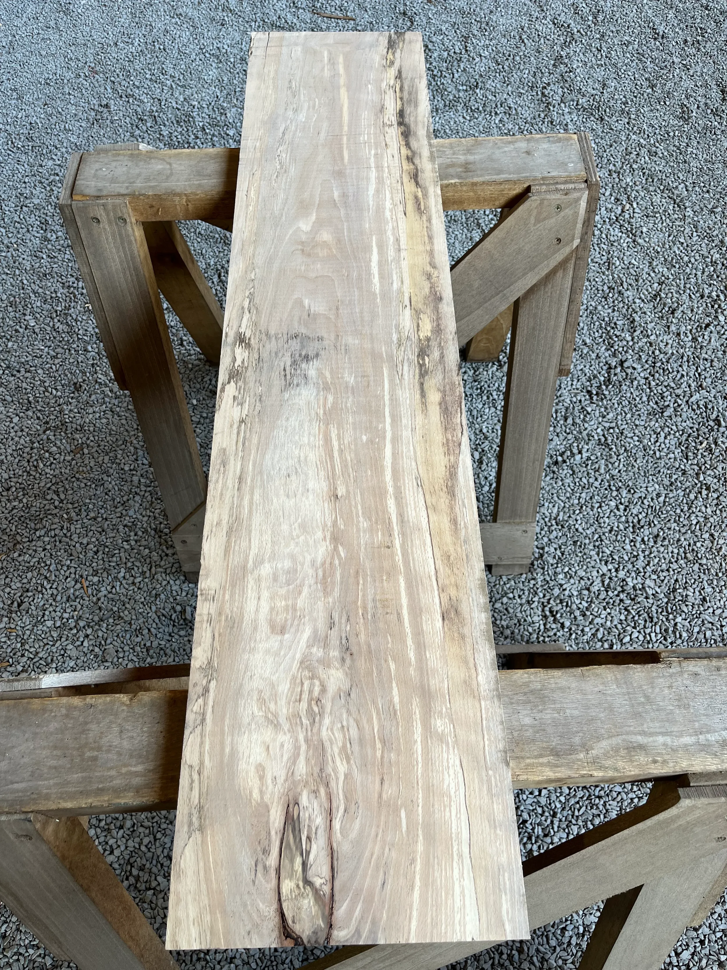 spalted beech se236.webp