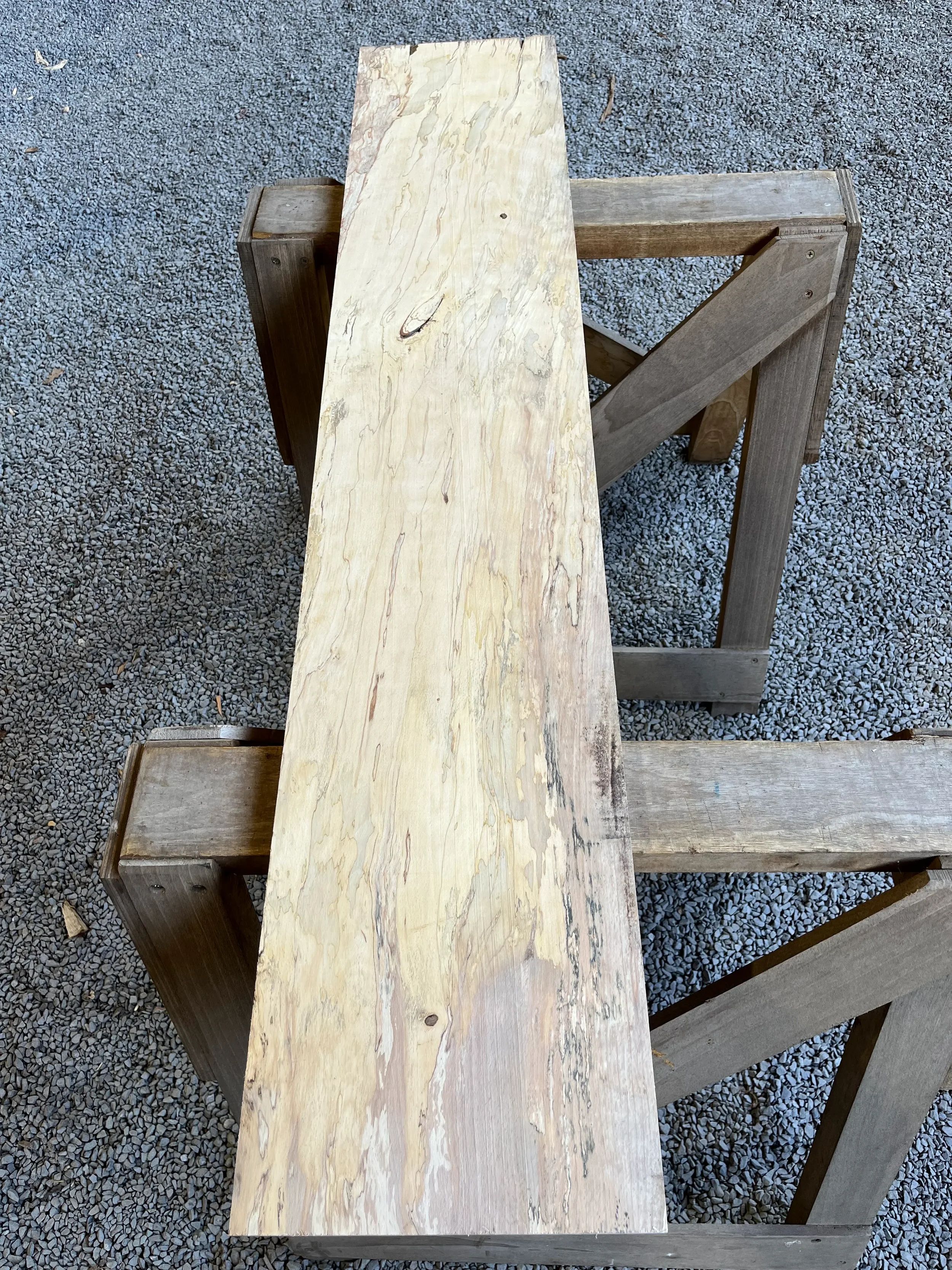 spalted beech se263.1.webp