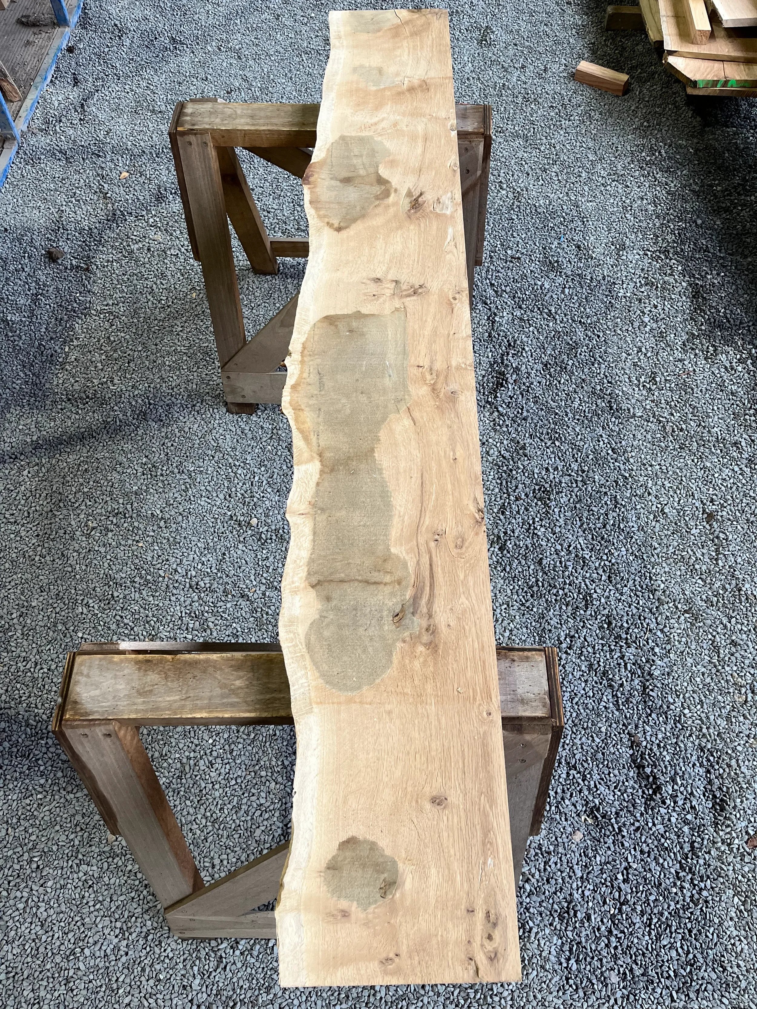 pippy tt000370.1.webp