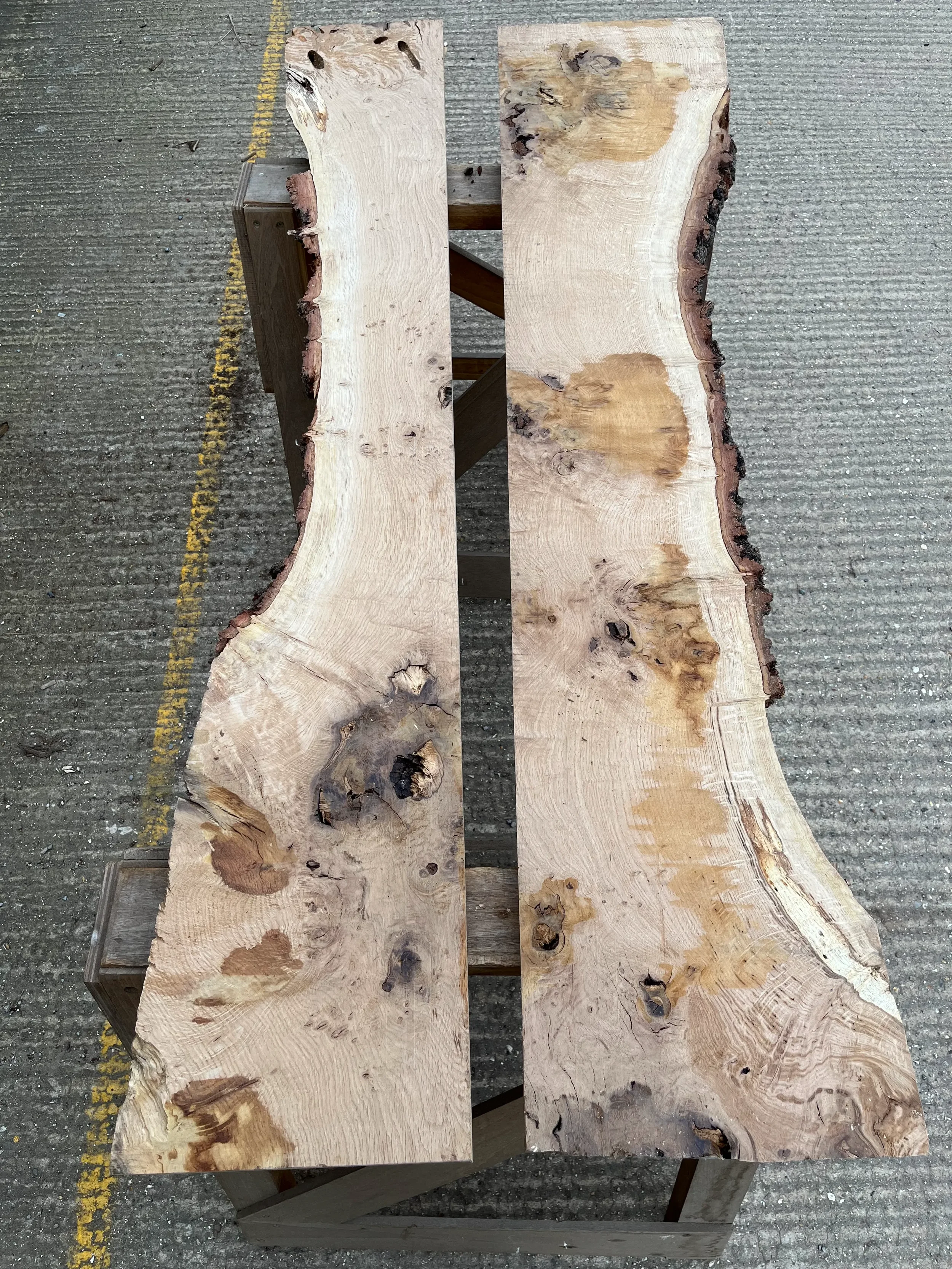 pippy tt000367.1.webp