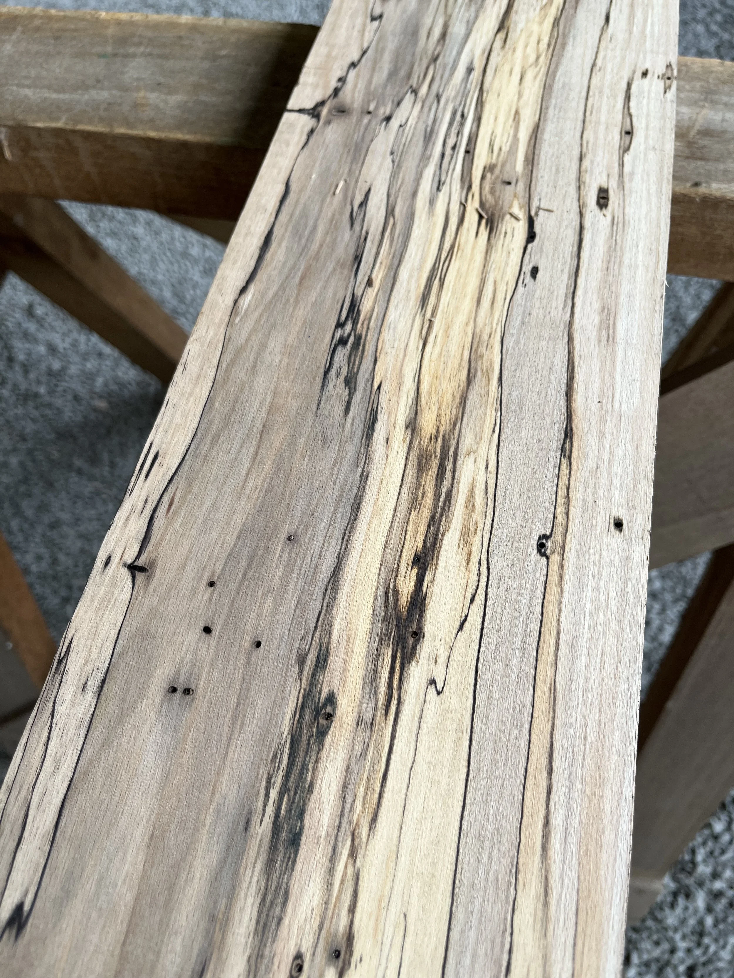 spalted beech se000288.2.jpeg