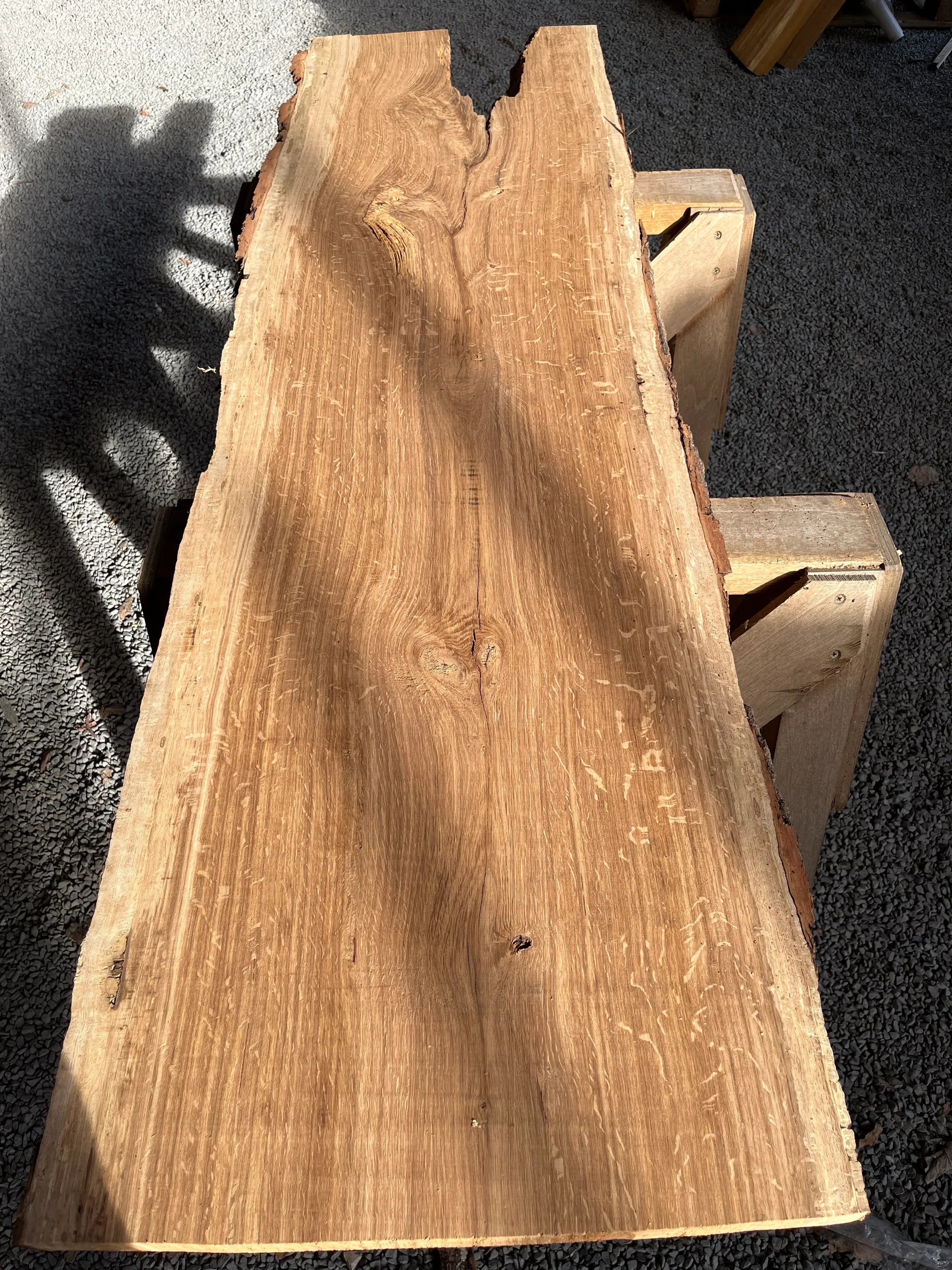brown oak tt000470.2.webp