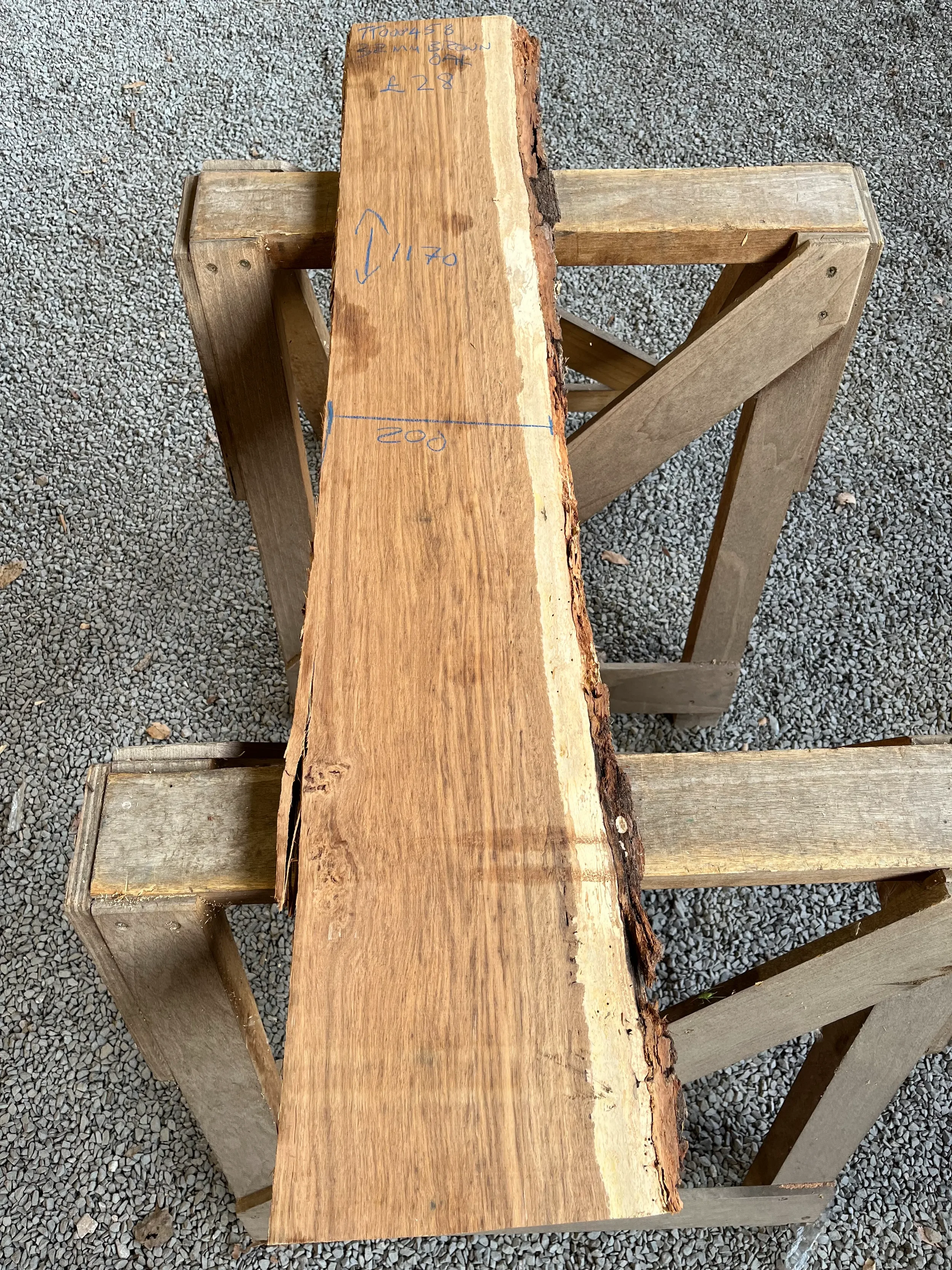 brown oak tt000458.webp