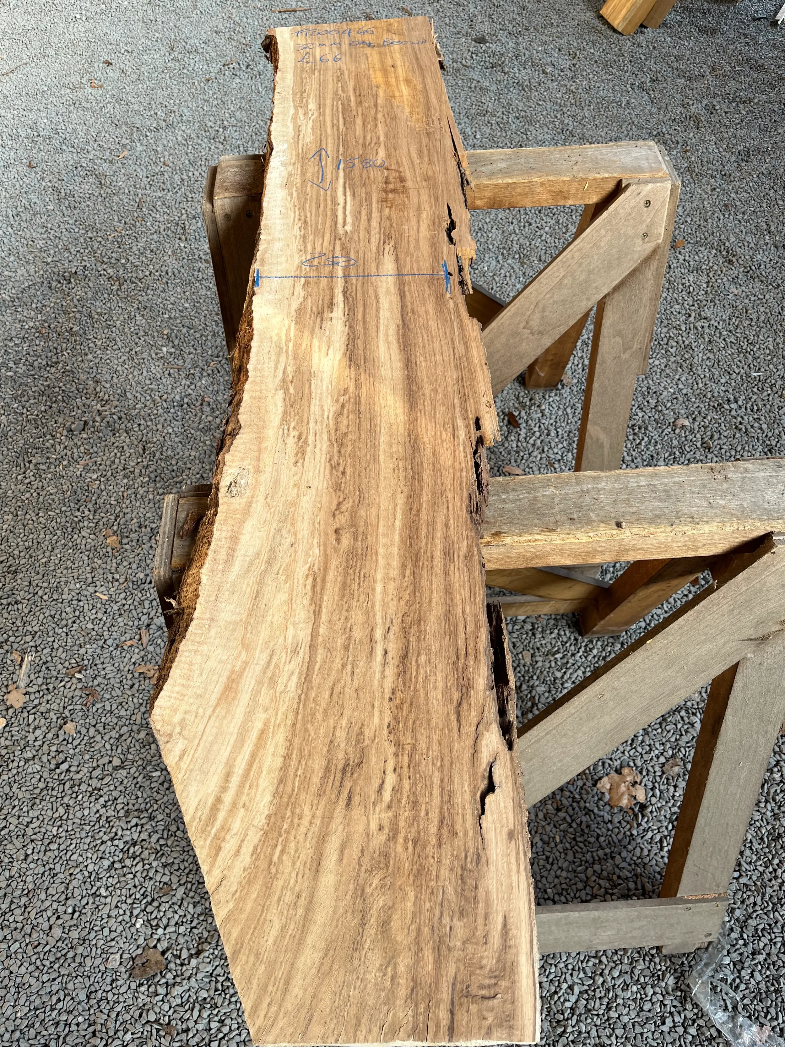 brown oak tt000466.webp