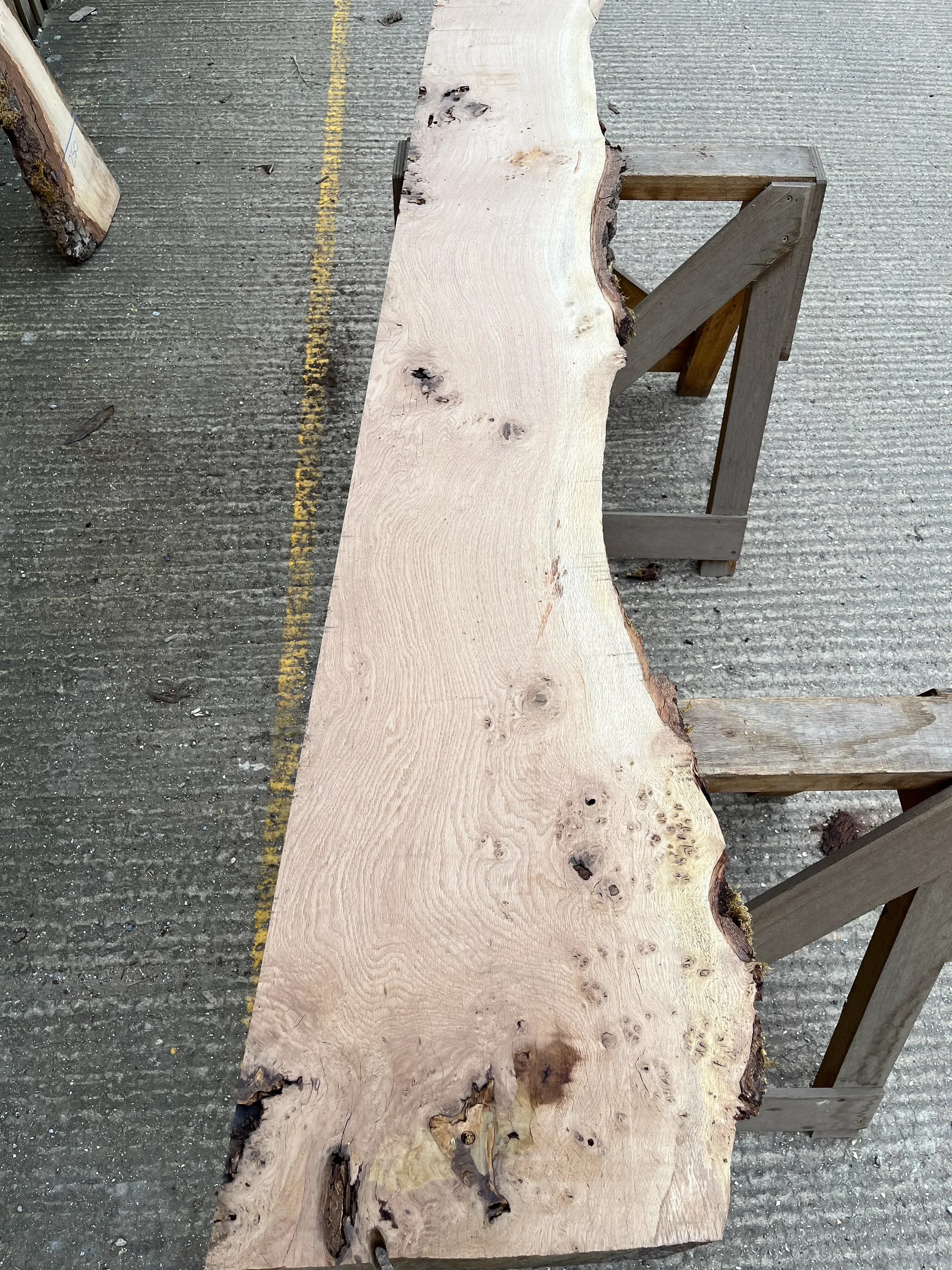 pippy tt000368.1.webp