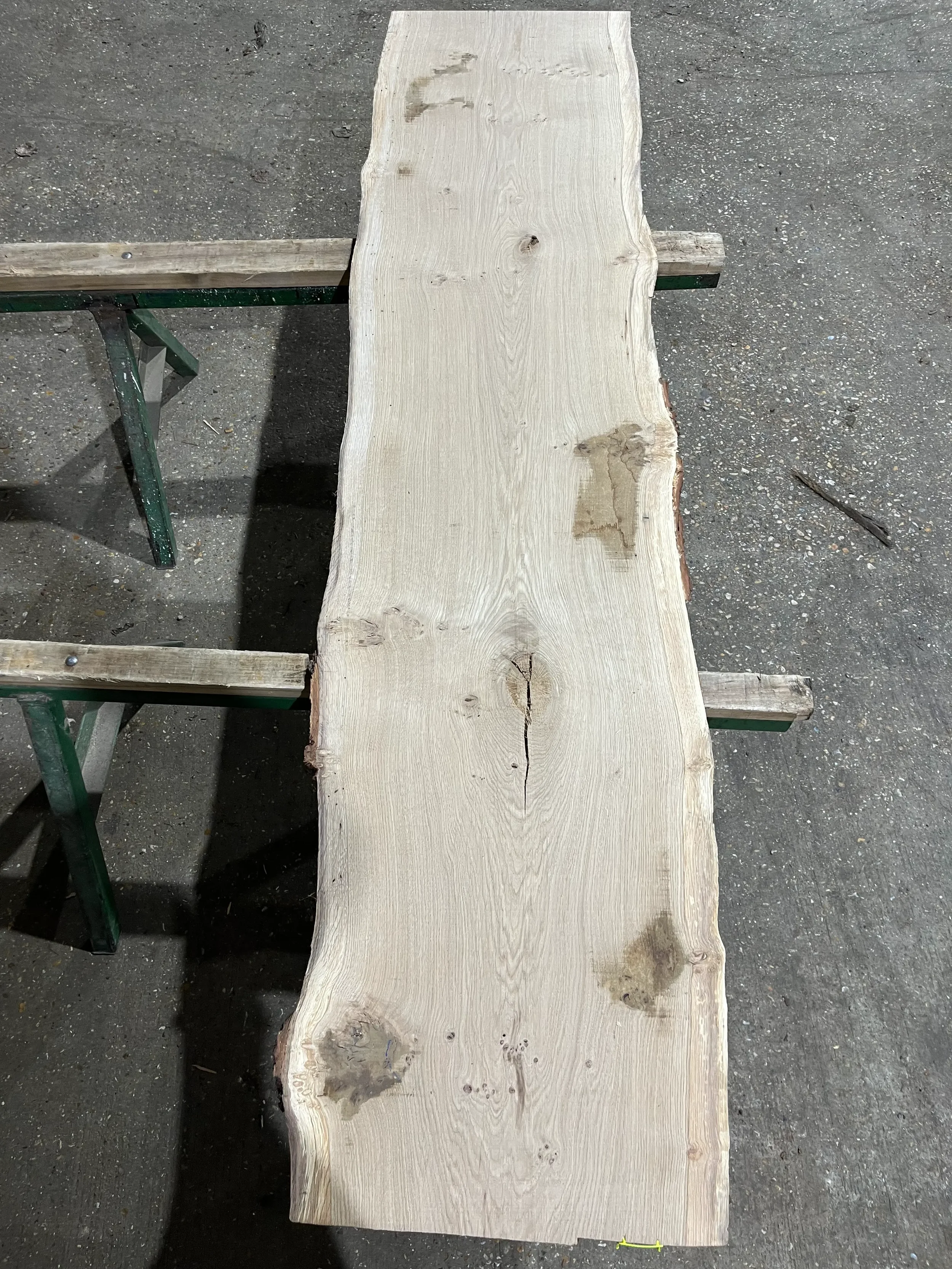 pippy tt000358.1.webp