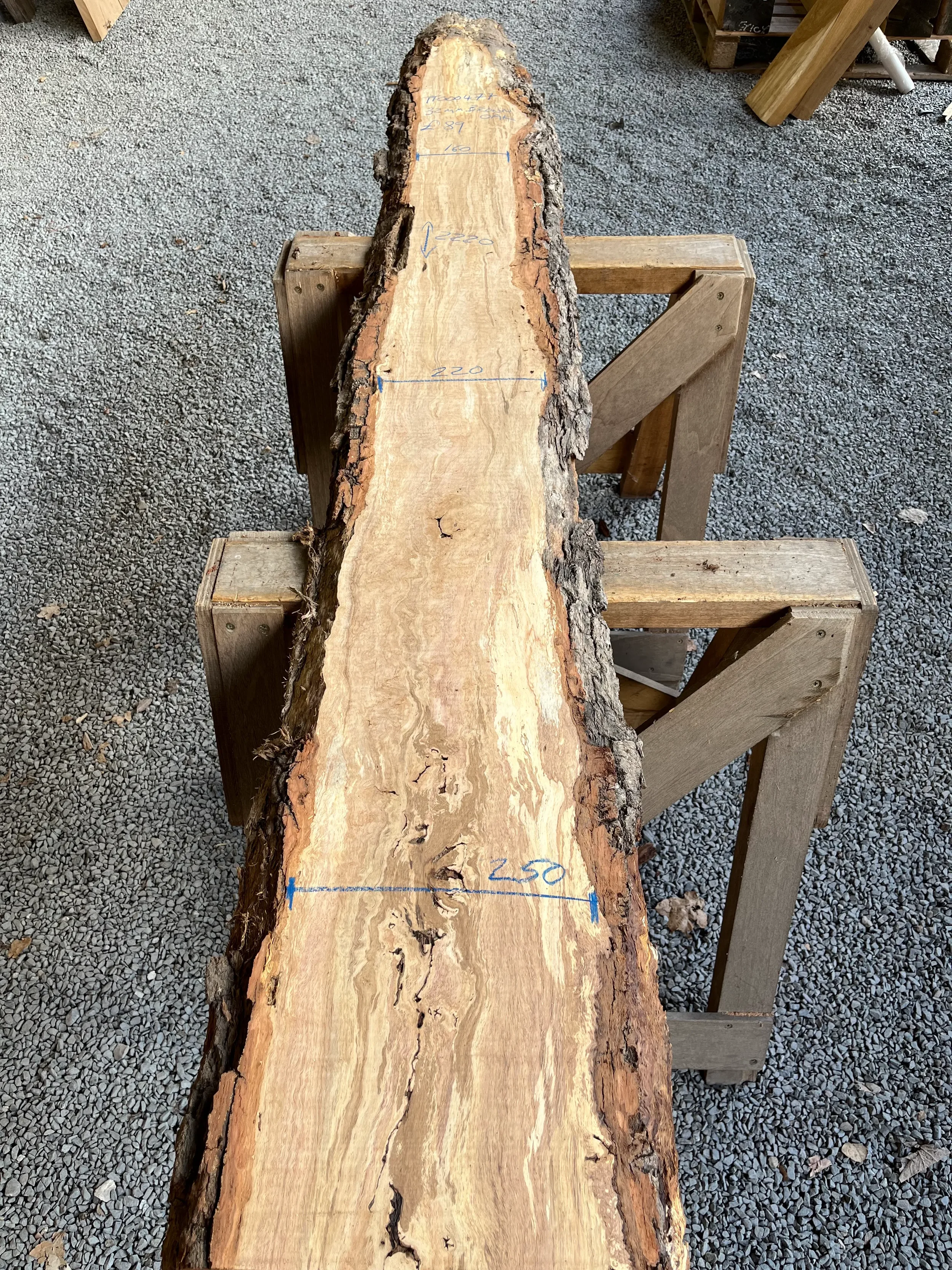 brown oak tt000477.webp