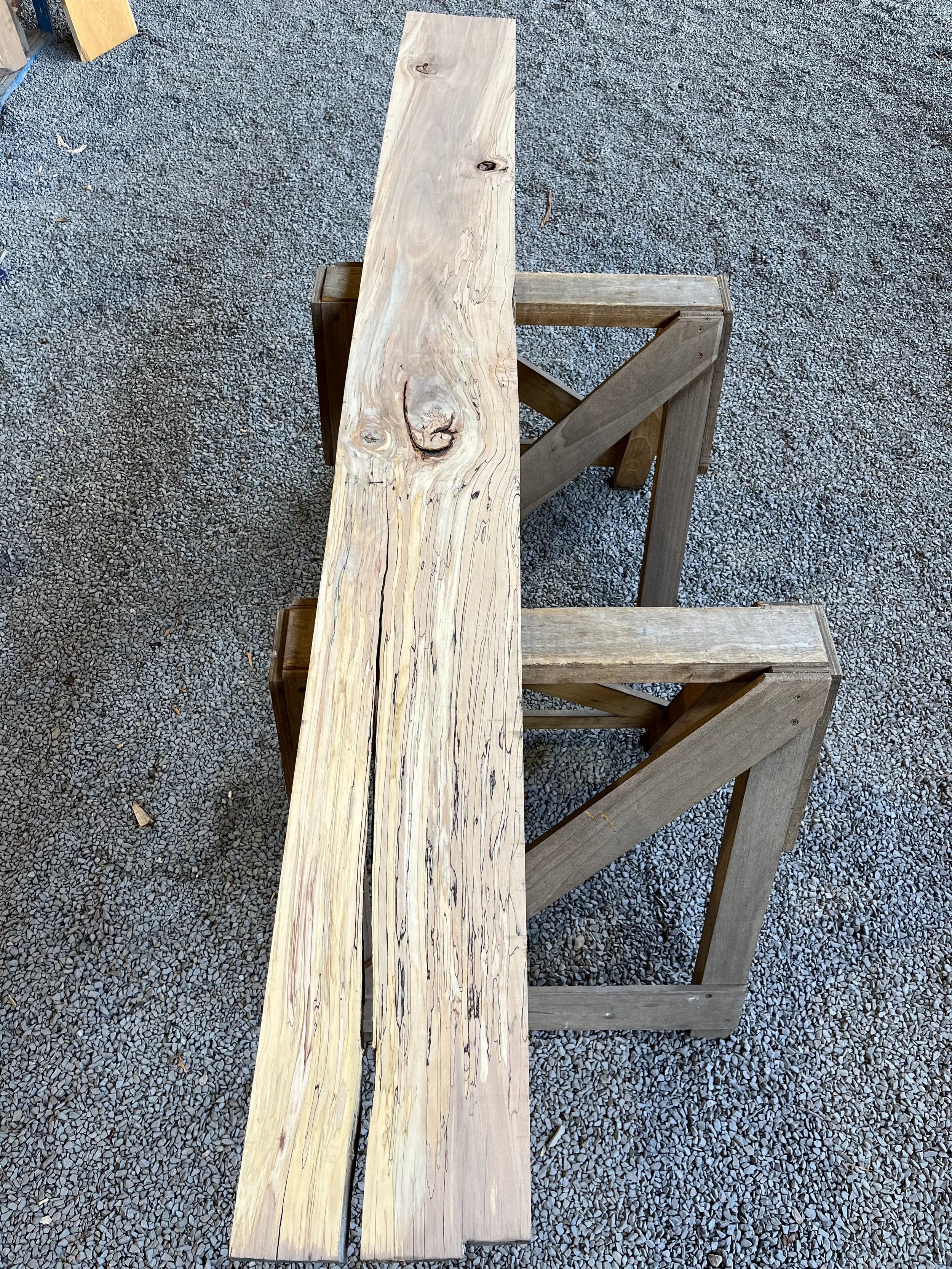 spalted beech se284.1.webp