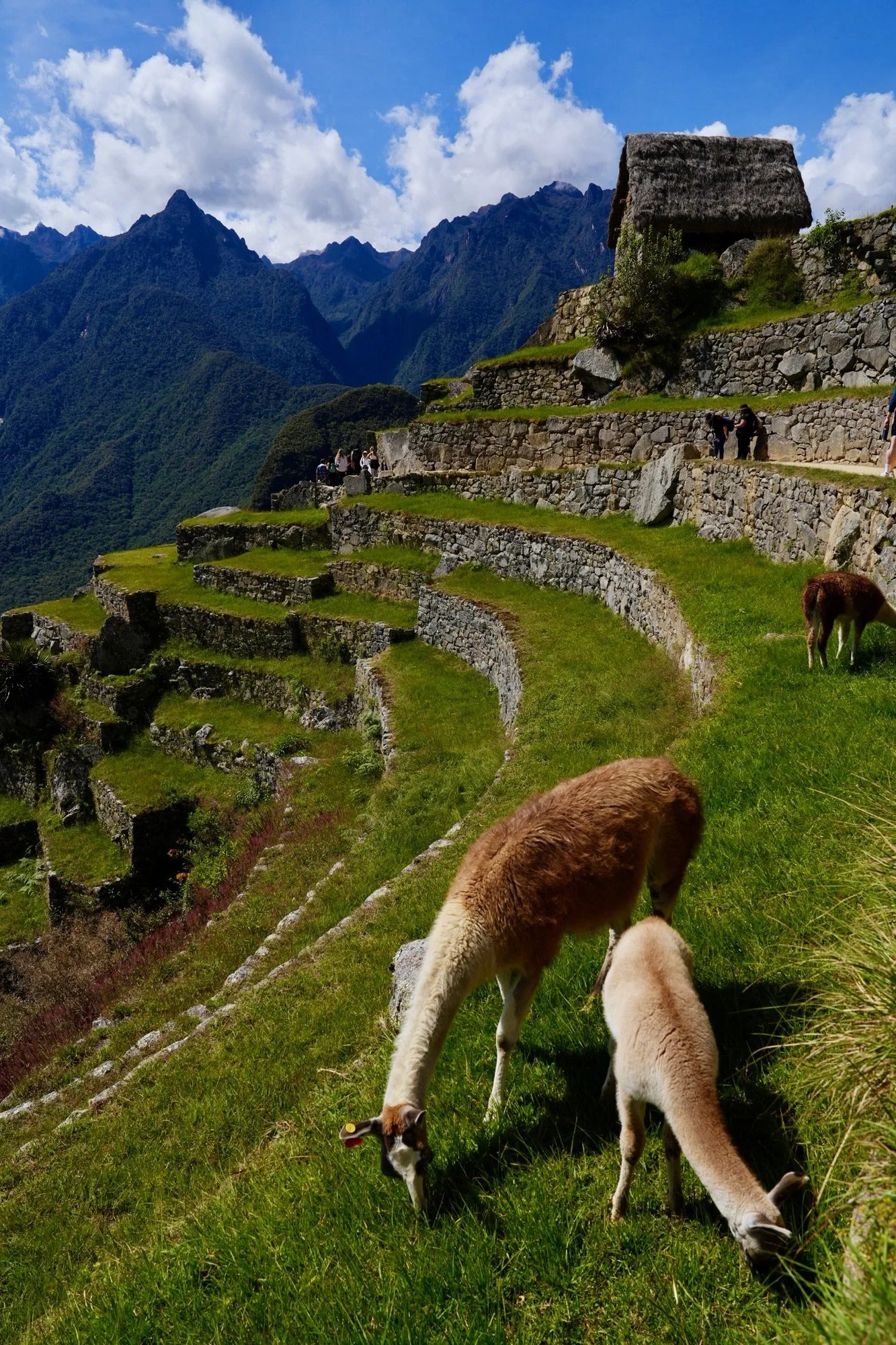 travel-108.jpg