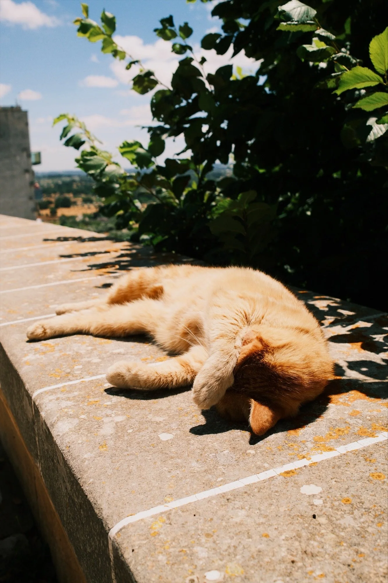 travel-186.jpg