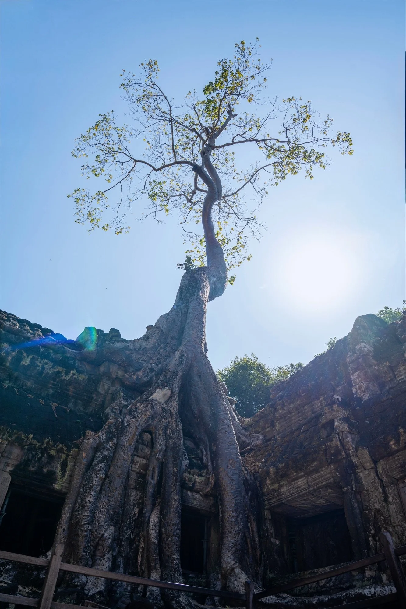 travel-200.jpg