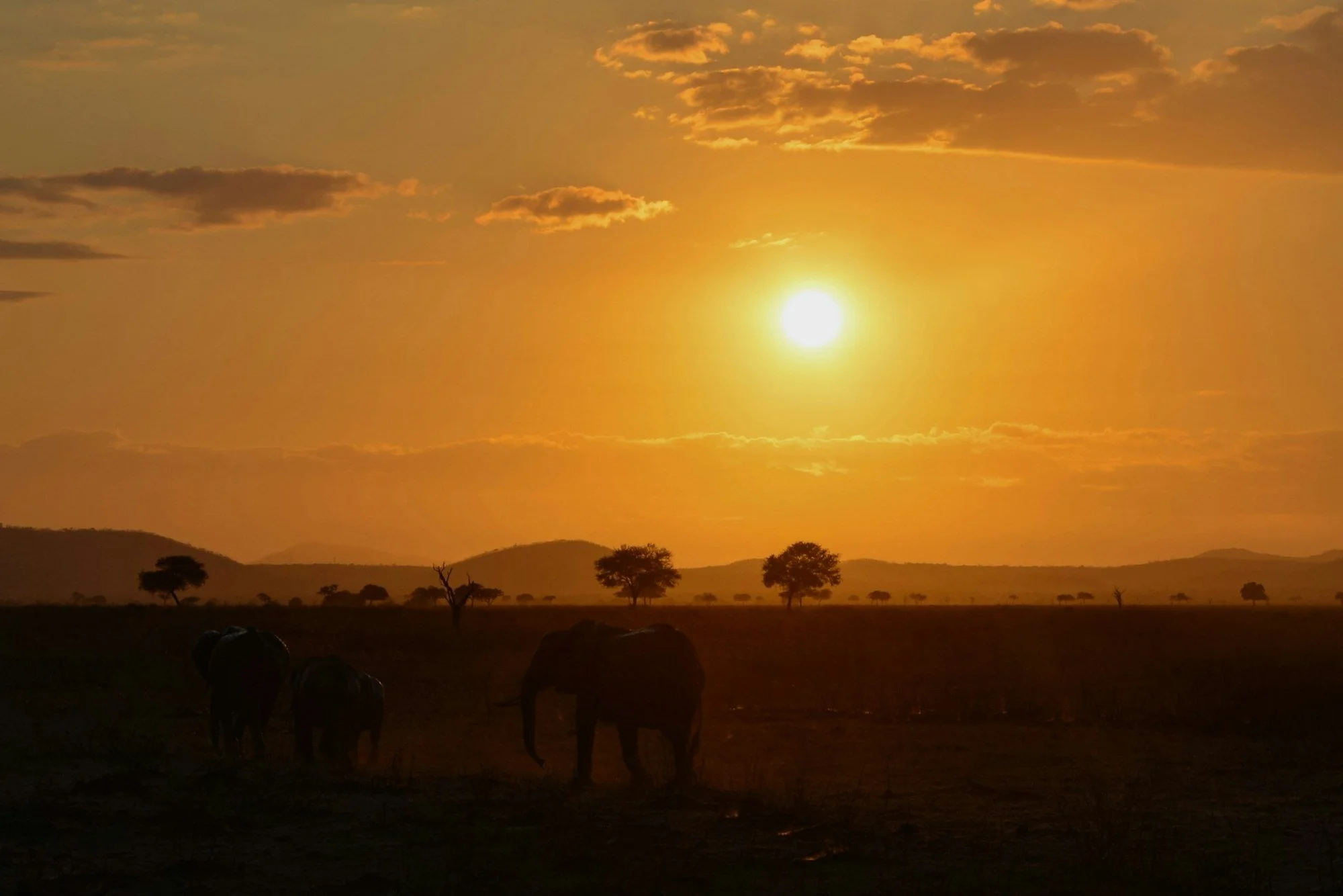 Kenya