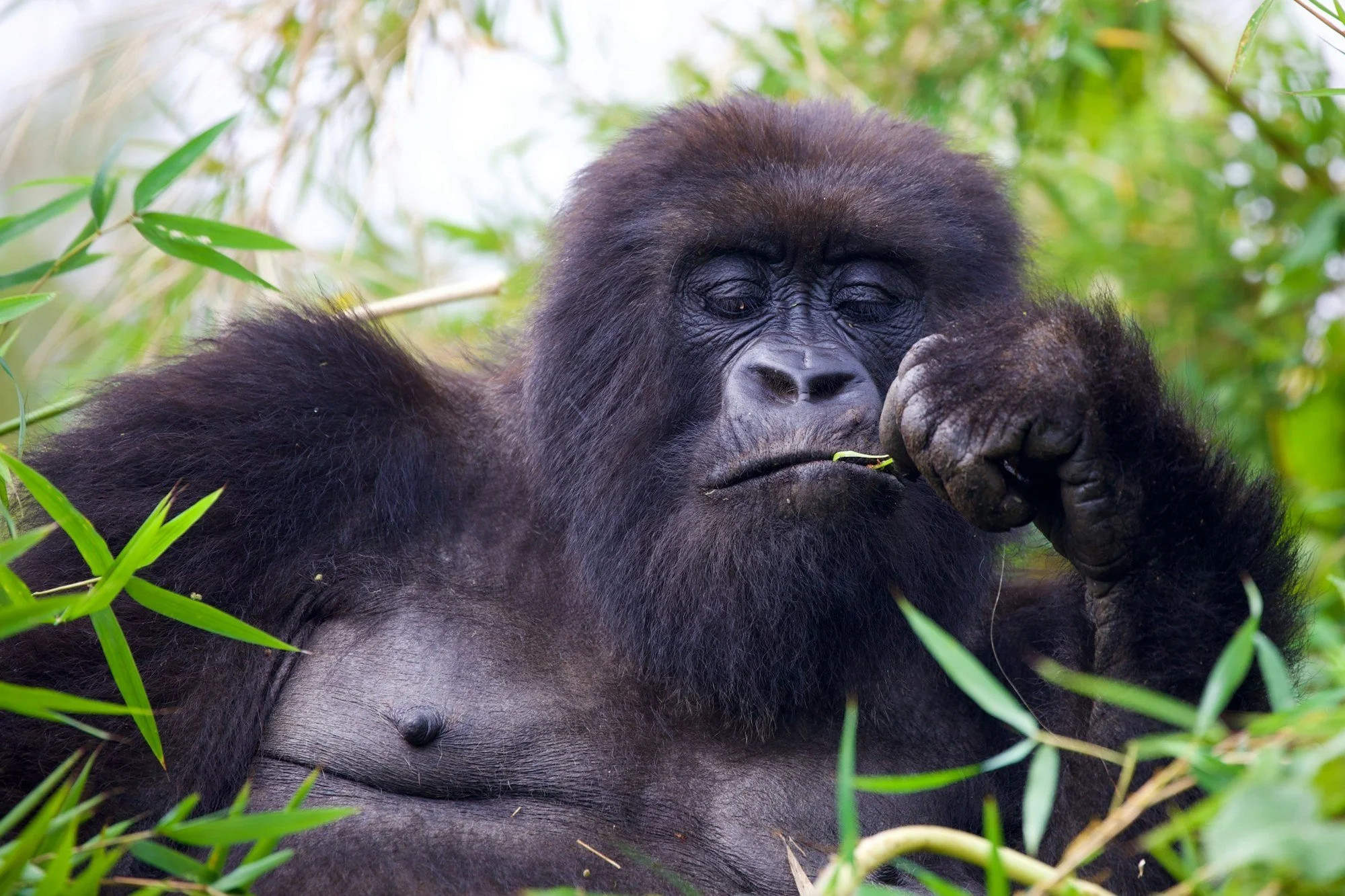 Rwanda