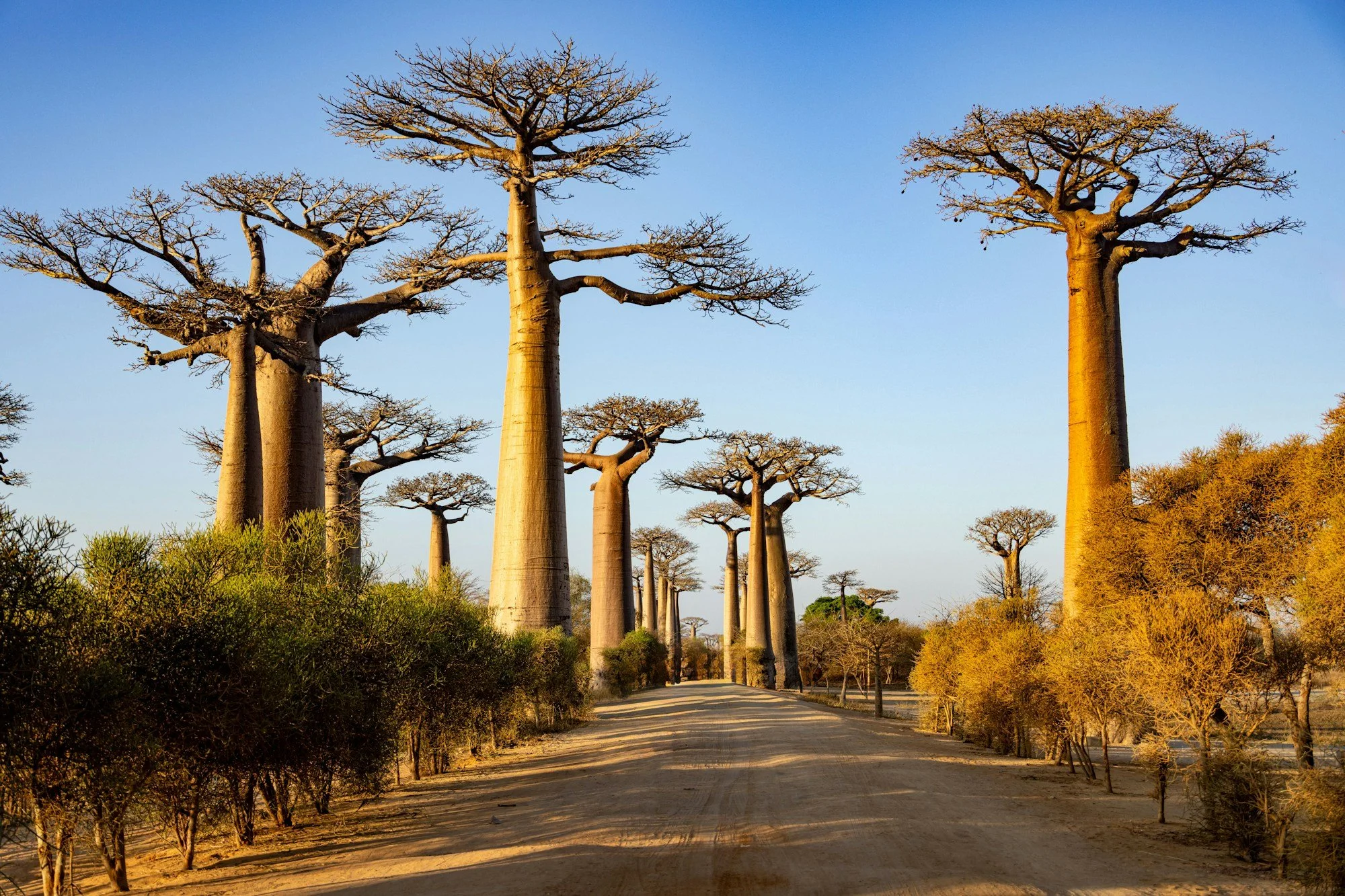 Madagascar