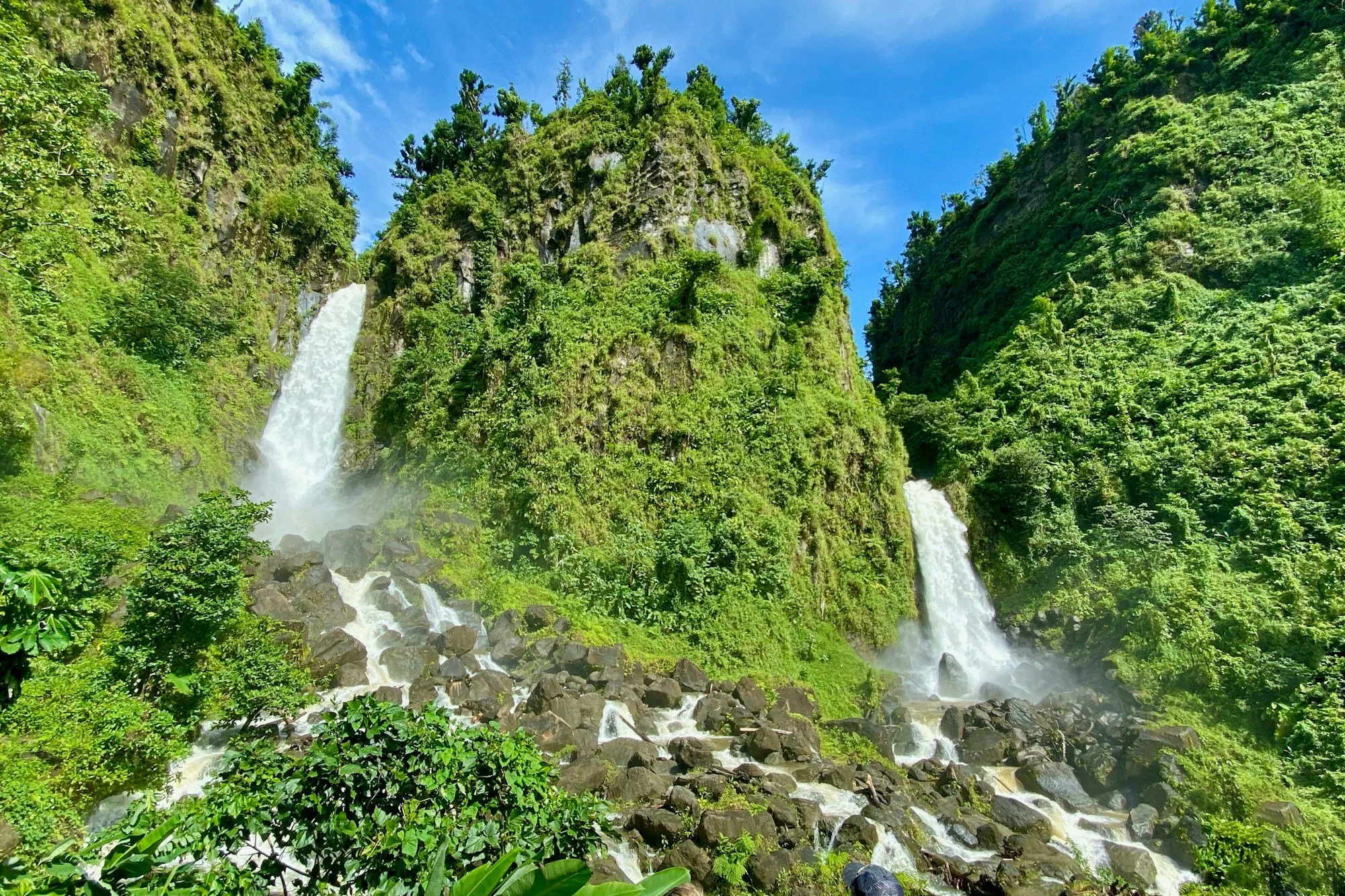 Dominica