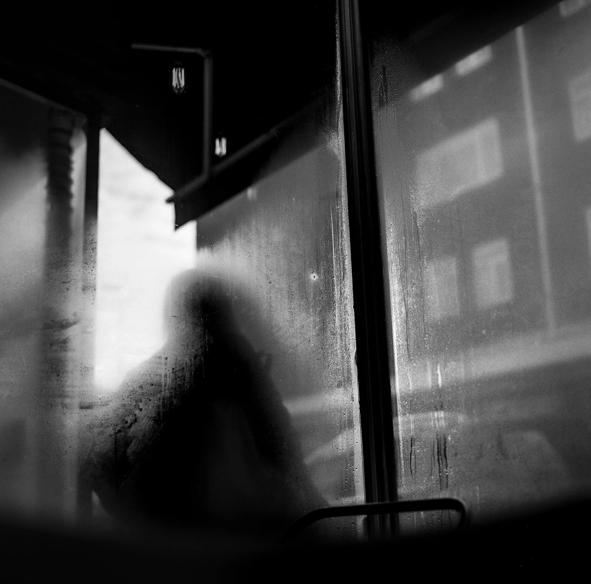 the comfort of shadows