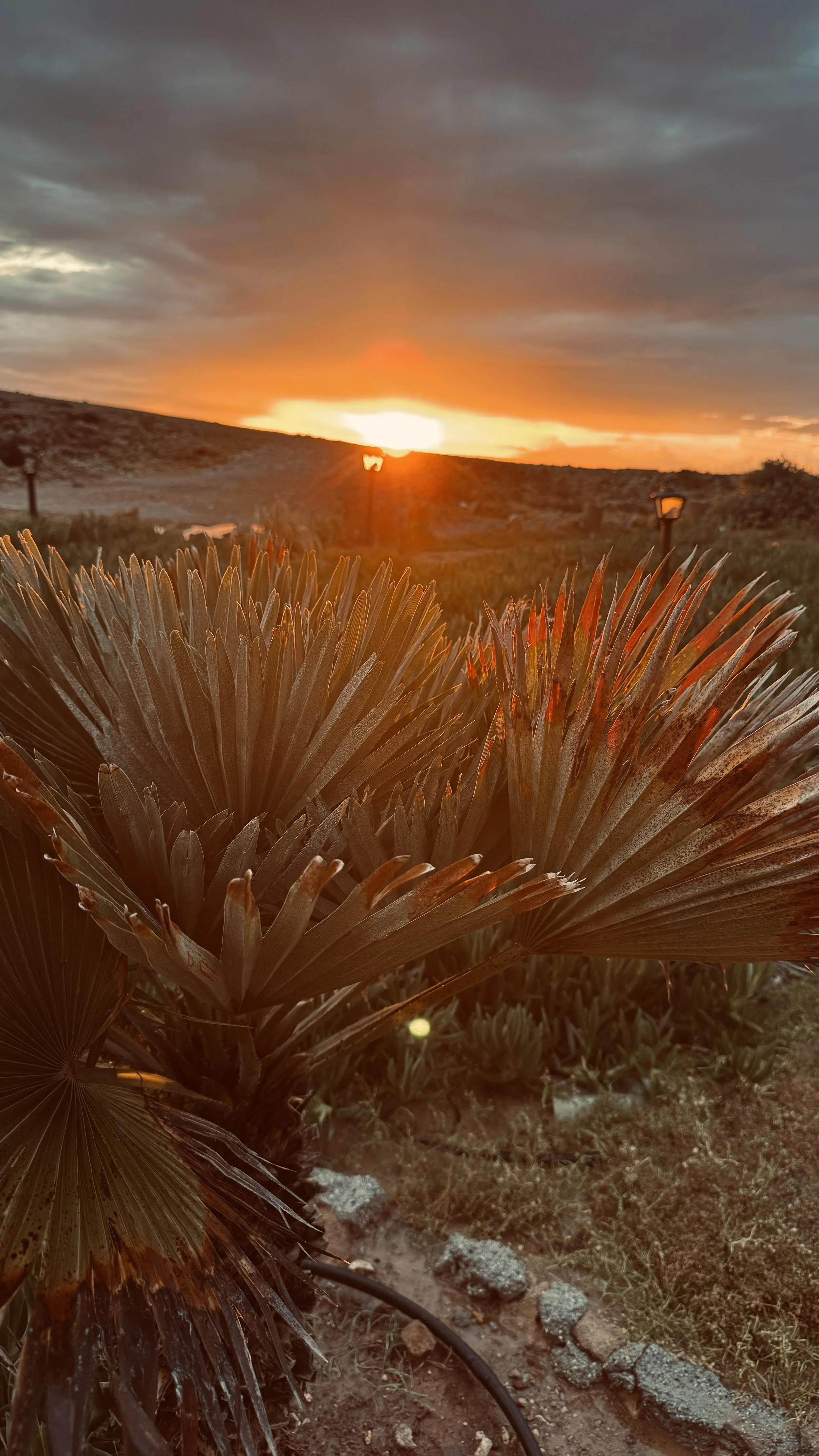 Sonnenuntergang am Mittelmeer Nordzypern