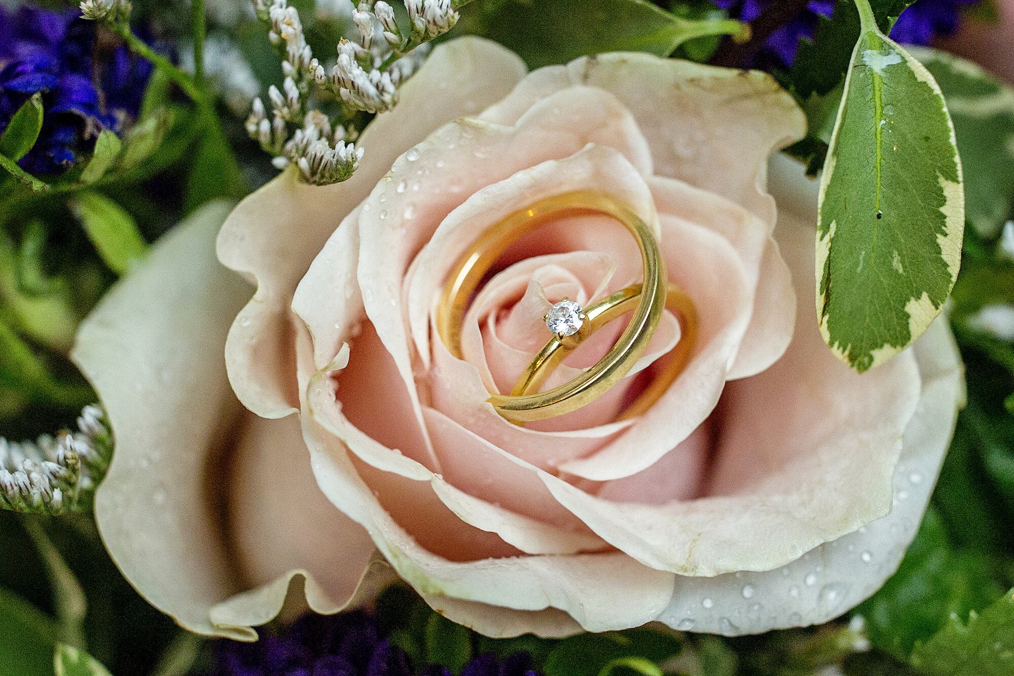 Seriously_Sabrina_Photography_Lexington_Kentucky_Courthouse_Elopement_Shakespeare_Co_Izabela_Marcio50.jpg