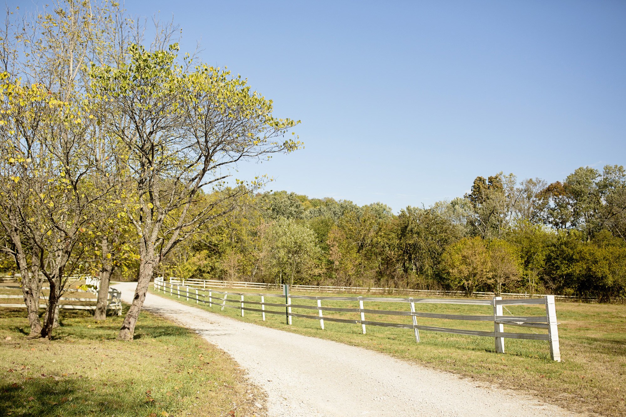 Seriously_Sabrina_Photography_Terrapin_Hill_Farm_Kentucky_Wedding_Morgan_3.jpg