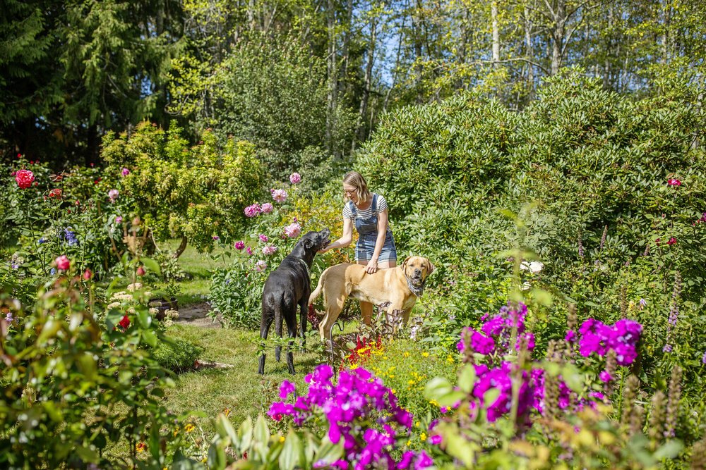 Seriously_Sabrina_Photography_Vancouver_Island_Aug_2019_Chelsea_Dogs_Garden_22.jpg