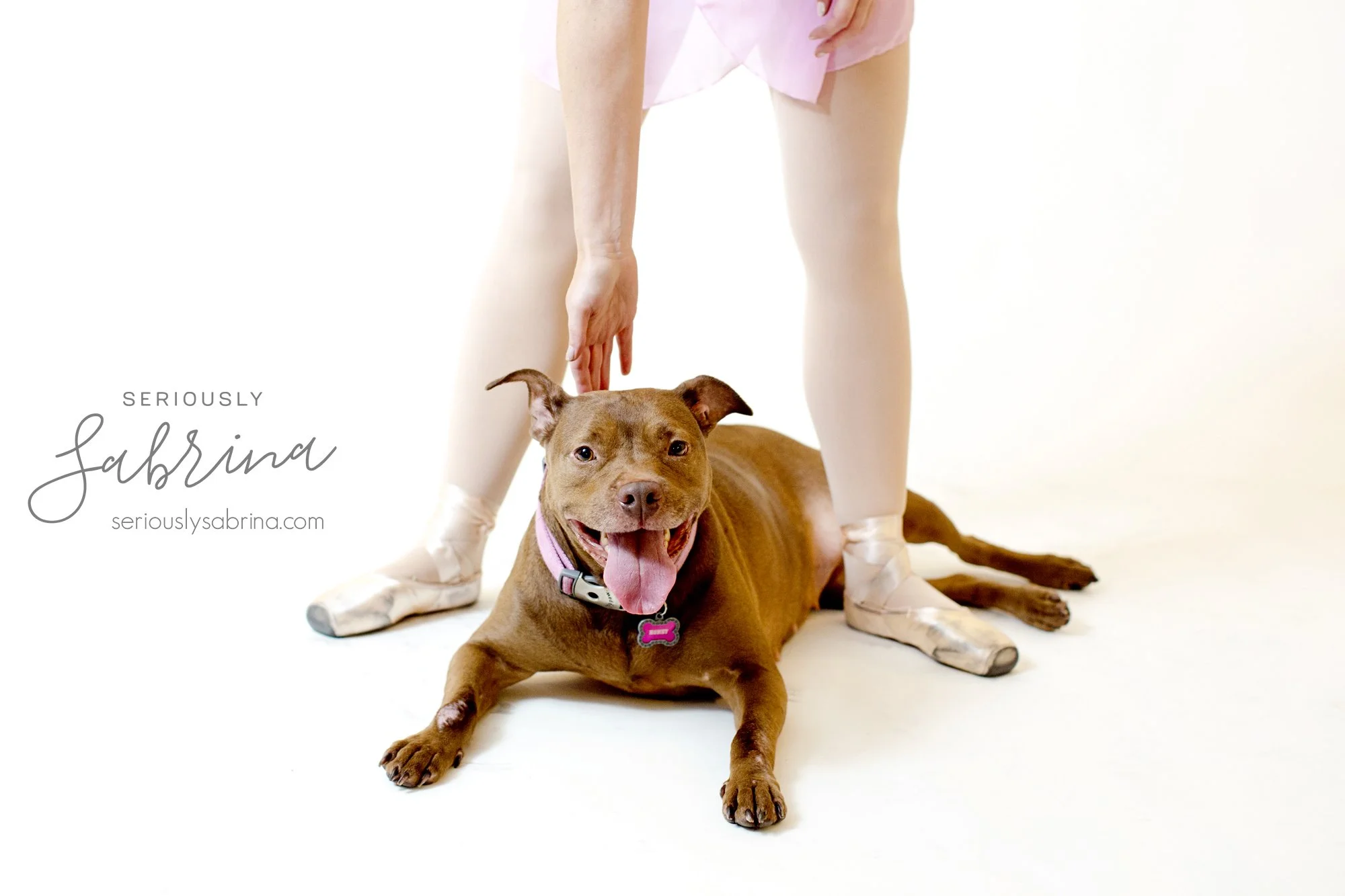 Seriously_Sabrina_Photography_Camp_Jean_Fundraiser_July_2018_Canines_and_Chereography2.jpg