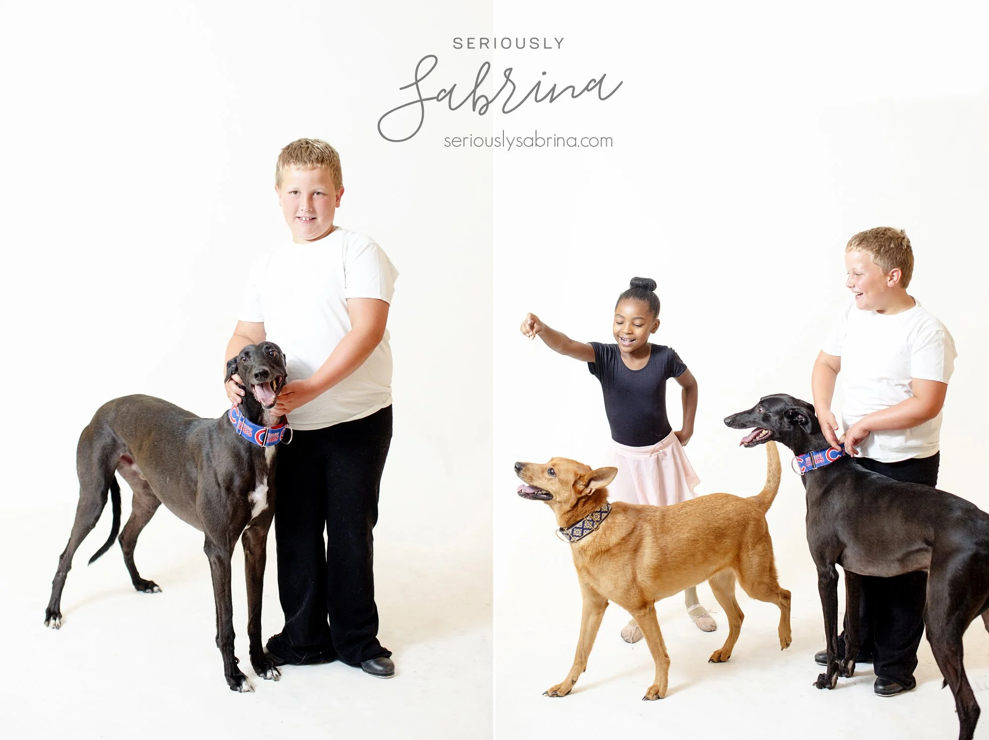 Seriously_Sabrina_Photography_Camp_Jean_Fundraiser_July_2018_Canines_and_Chereography16.jpg