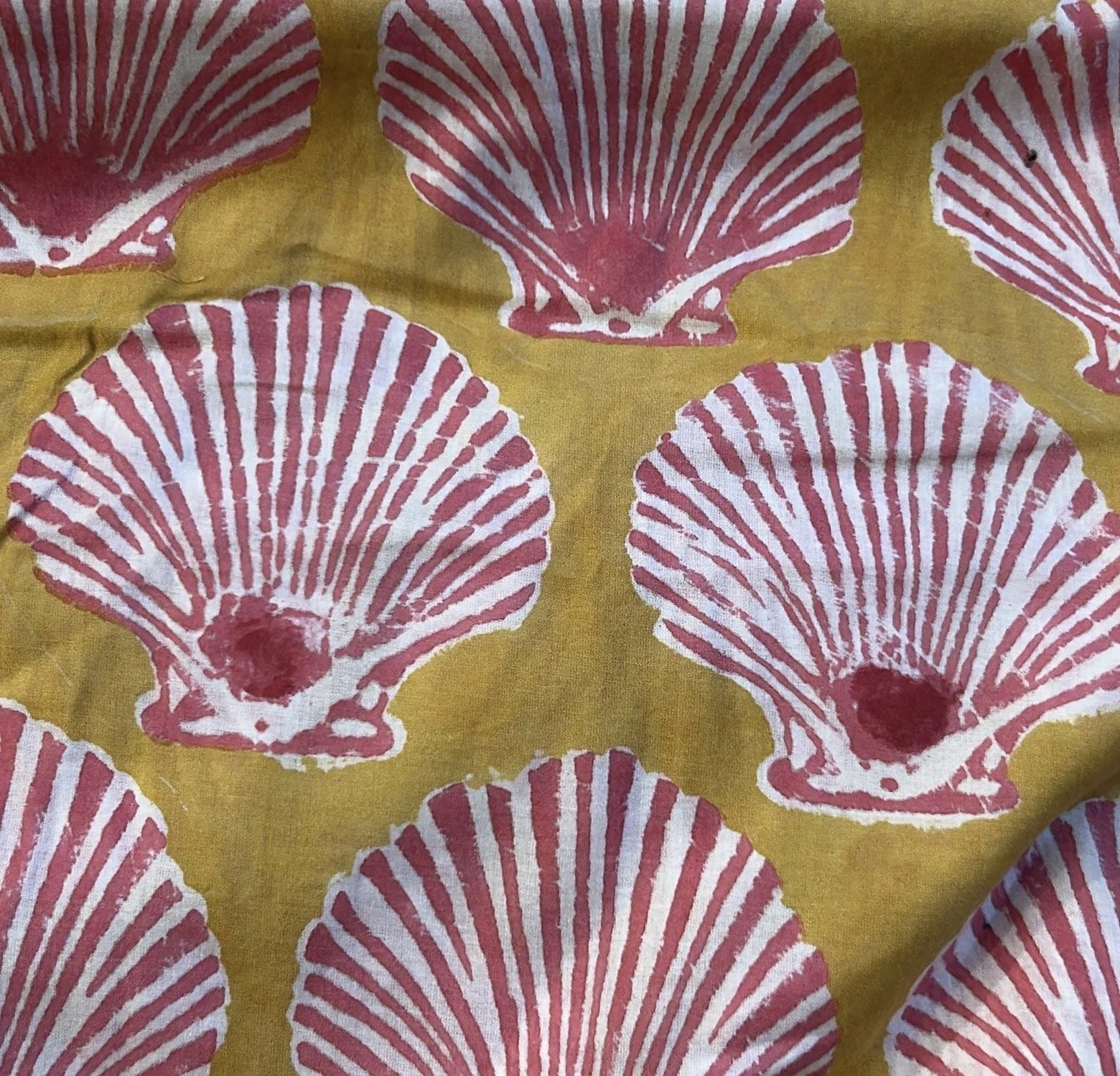 f341942e-87c8-4aa9-a26f-b2666a0900ab 2.jpg