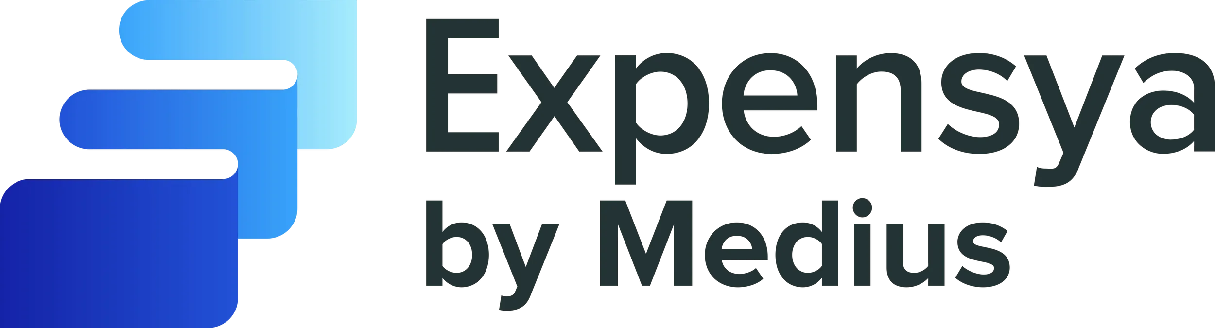 Medius expensya.webp