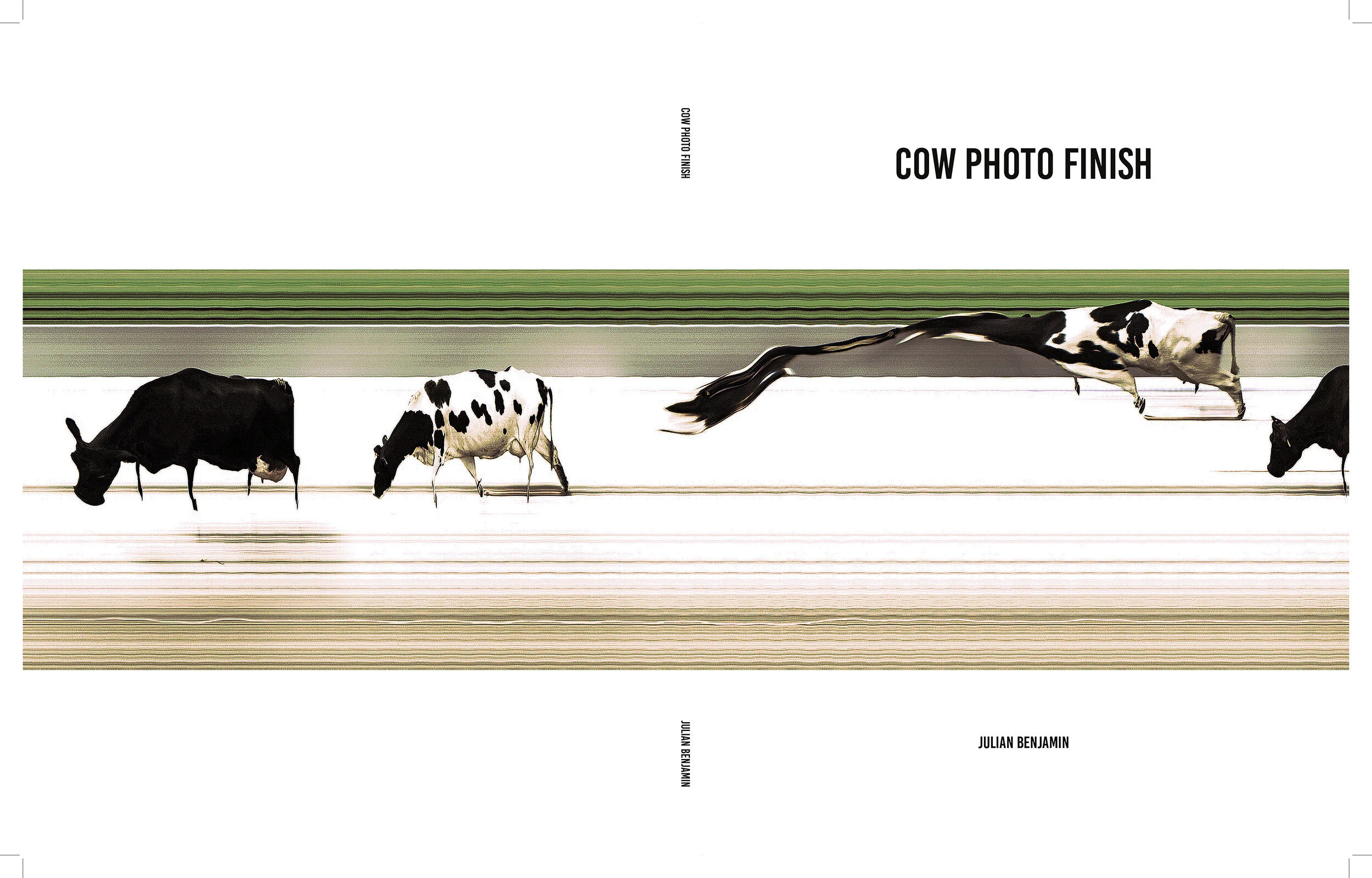 Cow Cover Final07.jpg
