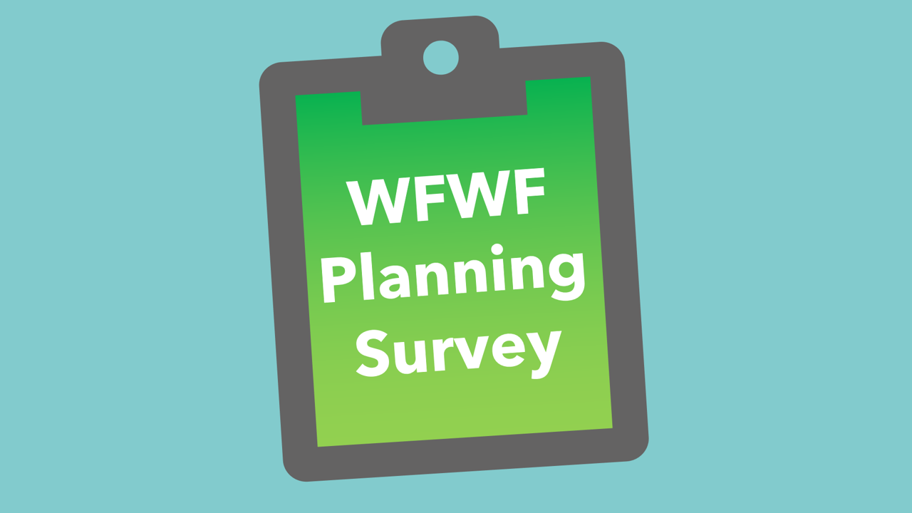 Third Sector Engagement in WFWF Planning Survey 