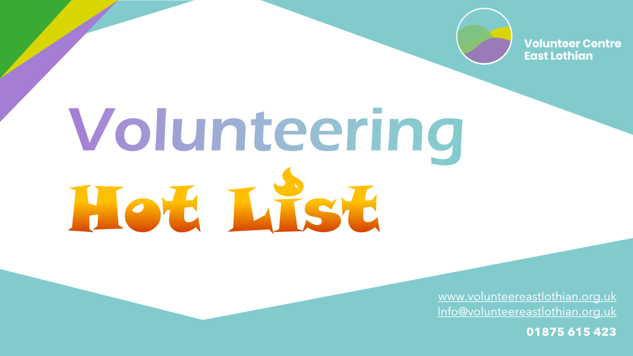 Monthly Volunteering Hot List | December 