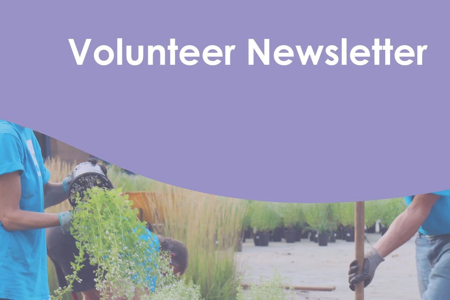 Volunteer Newsletter June 2022