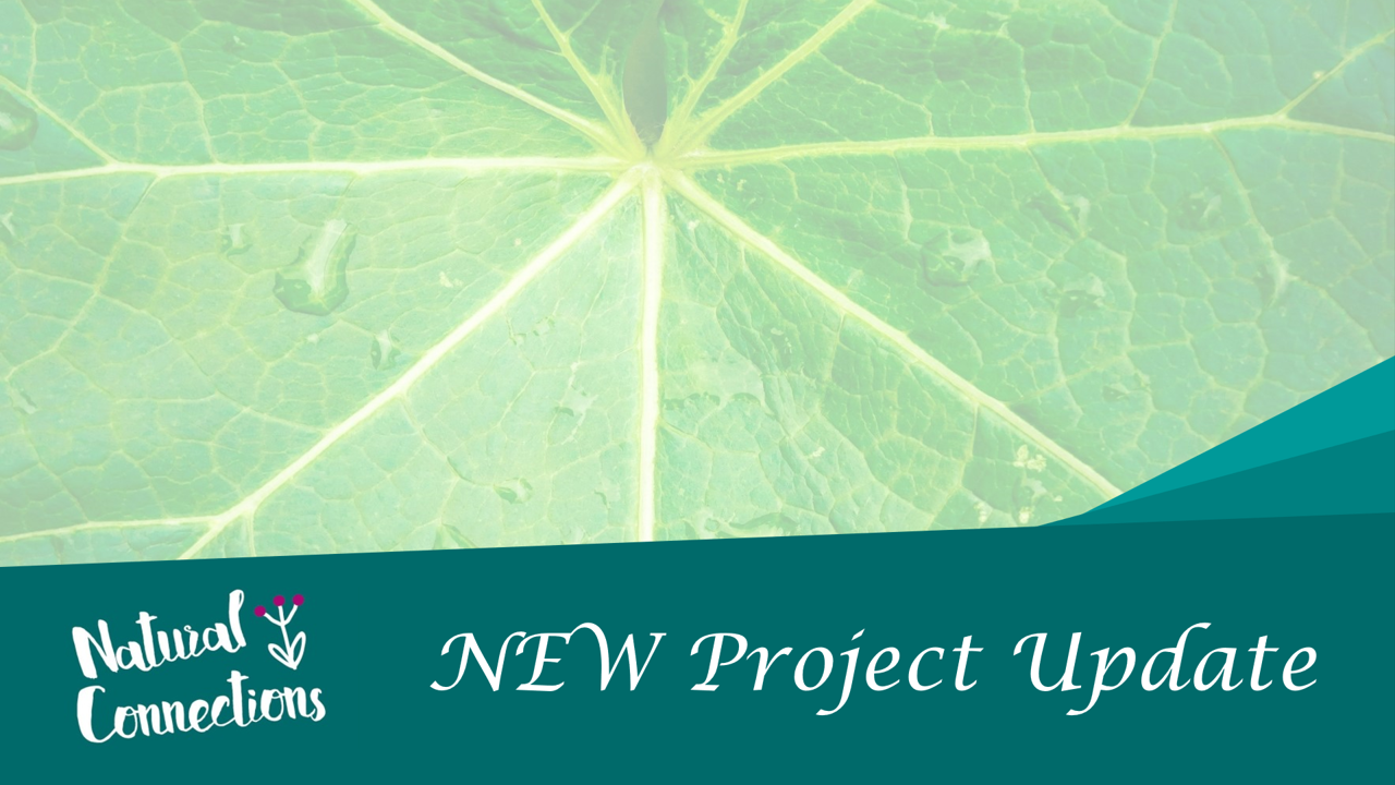 Natural Connections New Project Update