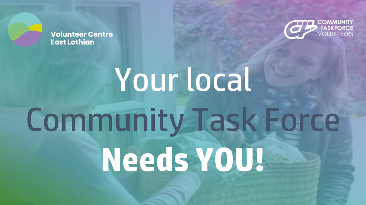 Community Taskforce Volunteers