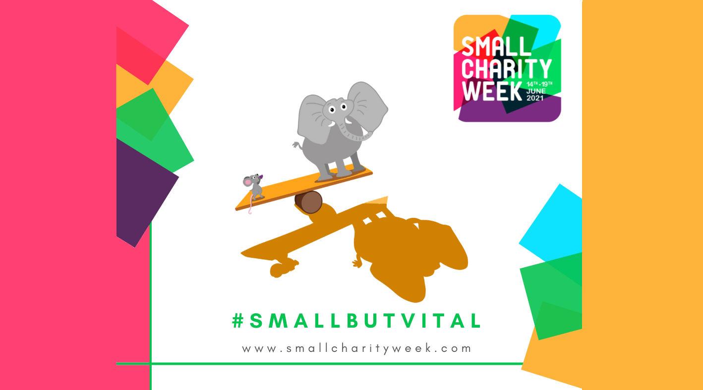 SMALL CHARITY WEEK