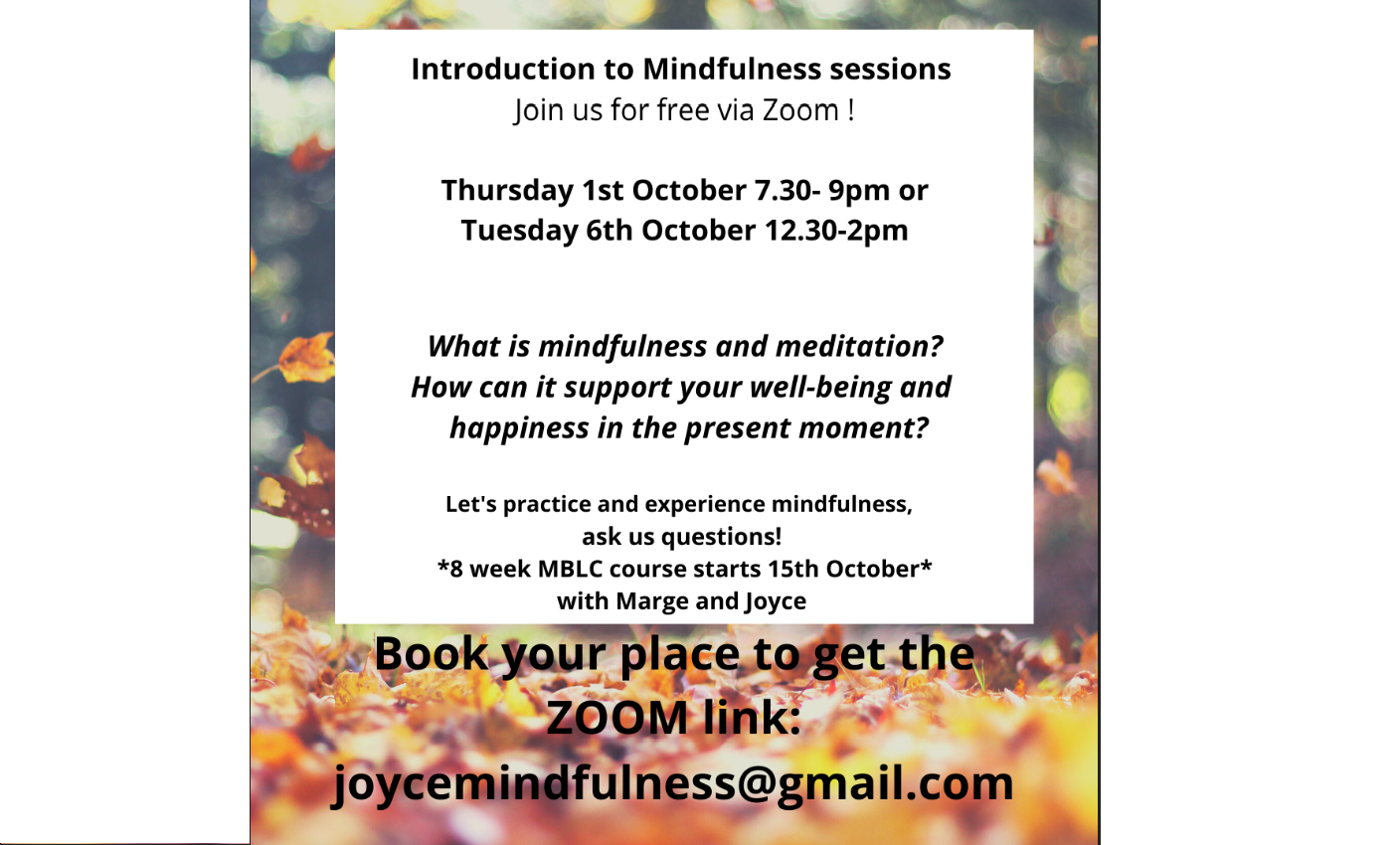 Free introduction to Mindfulness sessions